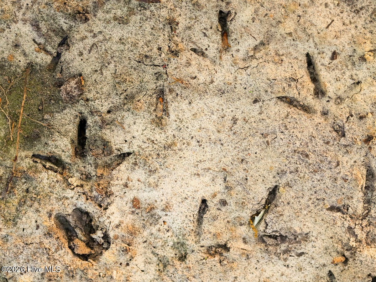 0 Durwood Evans Road, Beulaville, NC, 28518