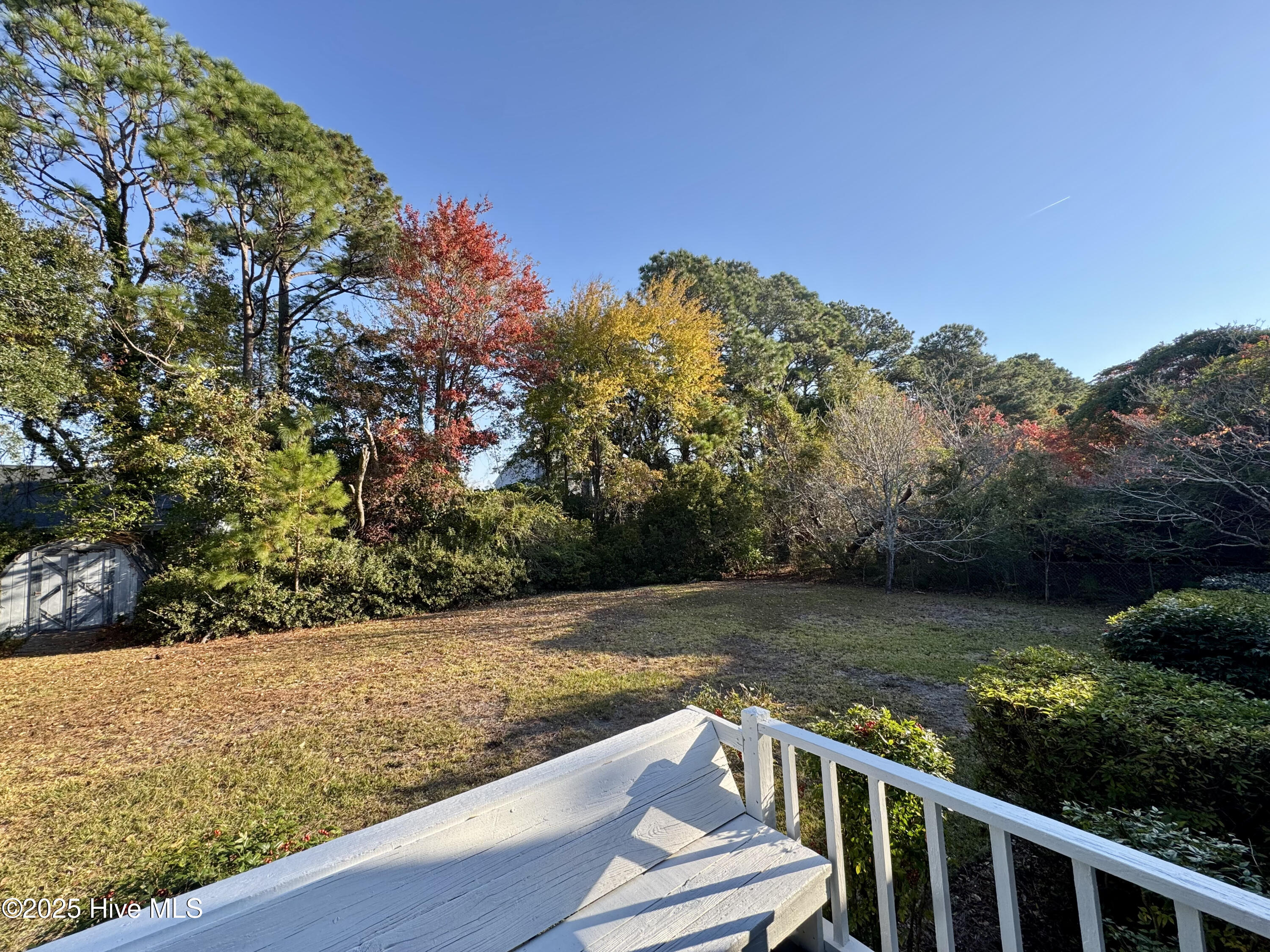 100541752 | Photo 20