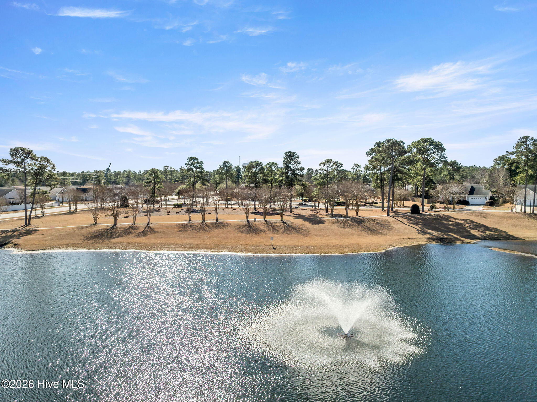 100563153 | Photo 43