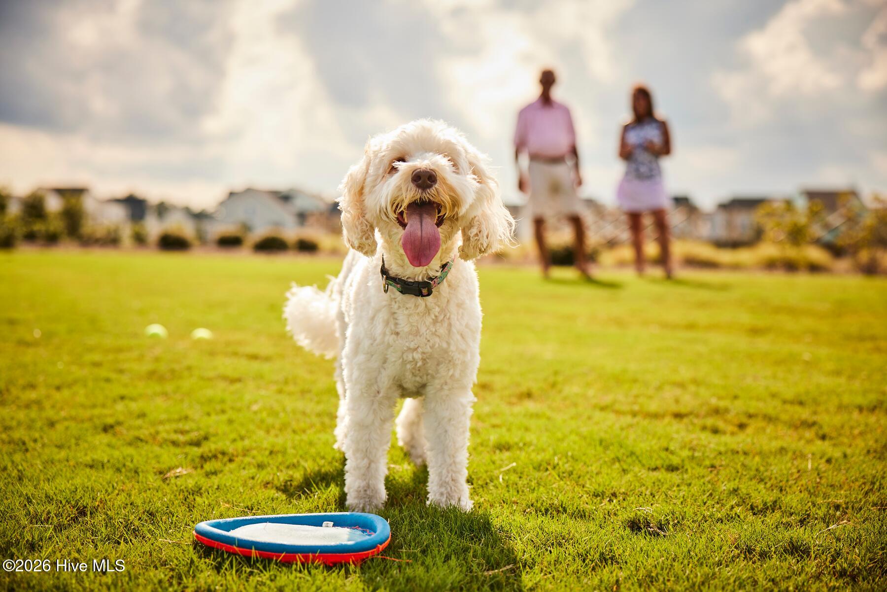 5750 Moonshell Loop, Wilmington, NC, 28412