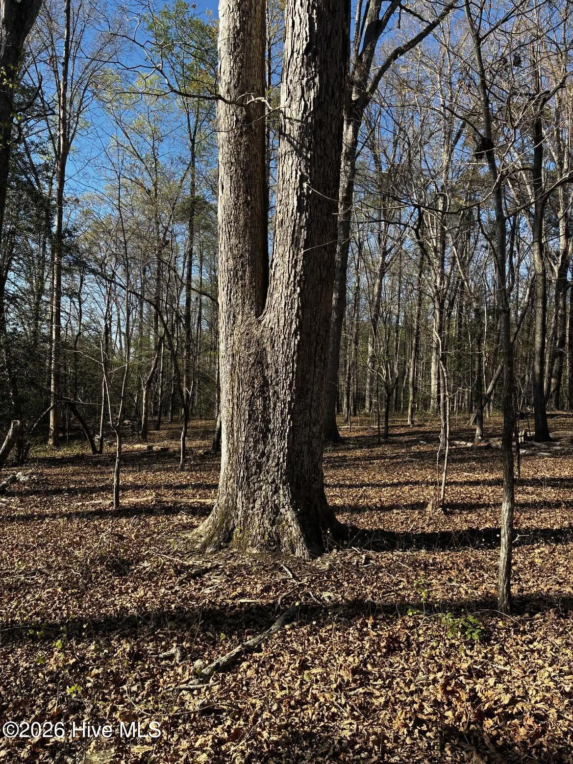 285 Kelly Road, Carthage, NC, 28327