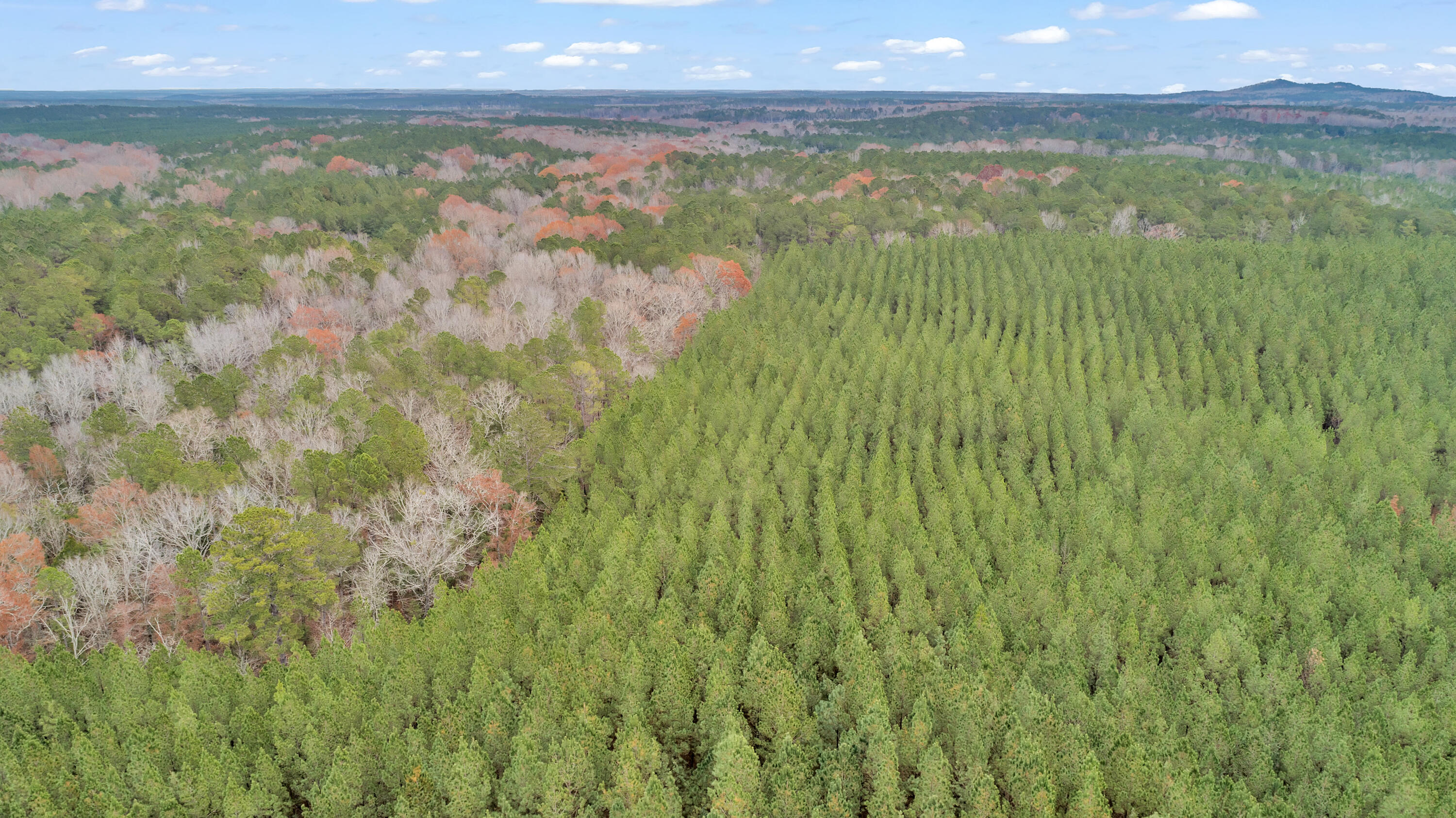 Saggus Rd land 121-007A, 200ft View, Dro