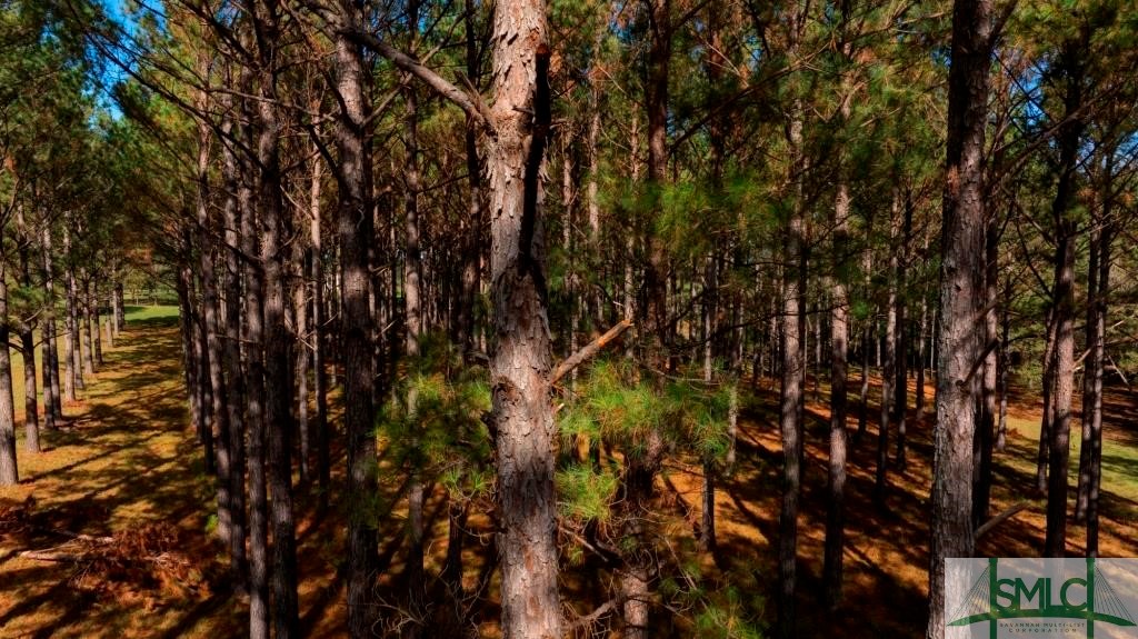 Undisclosed Address, Sylvania, GA, 30467