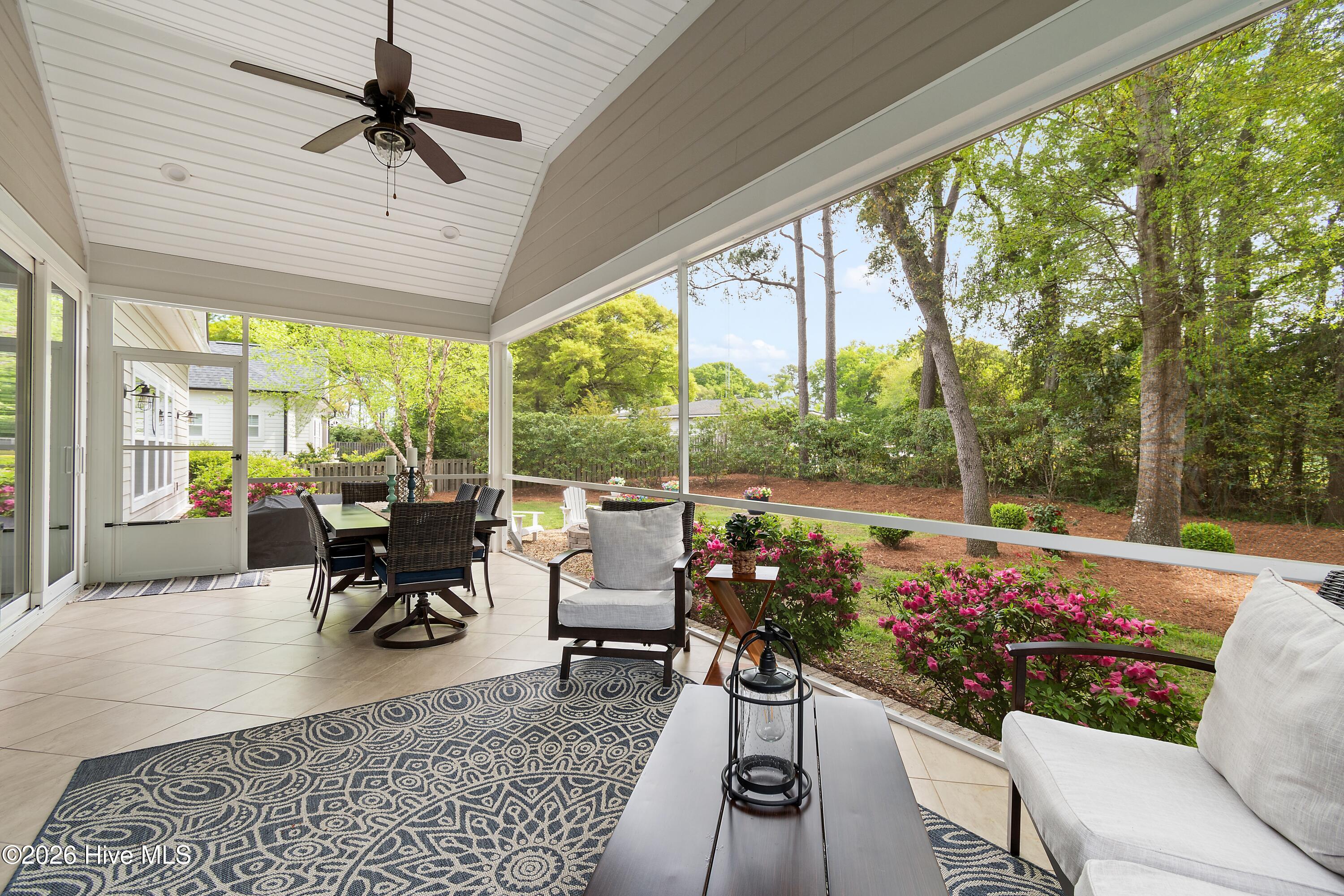 100565384 | Photo 40