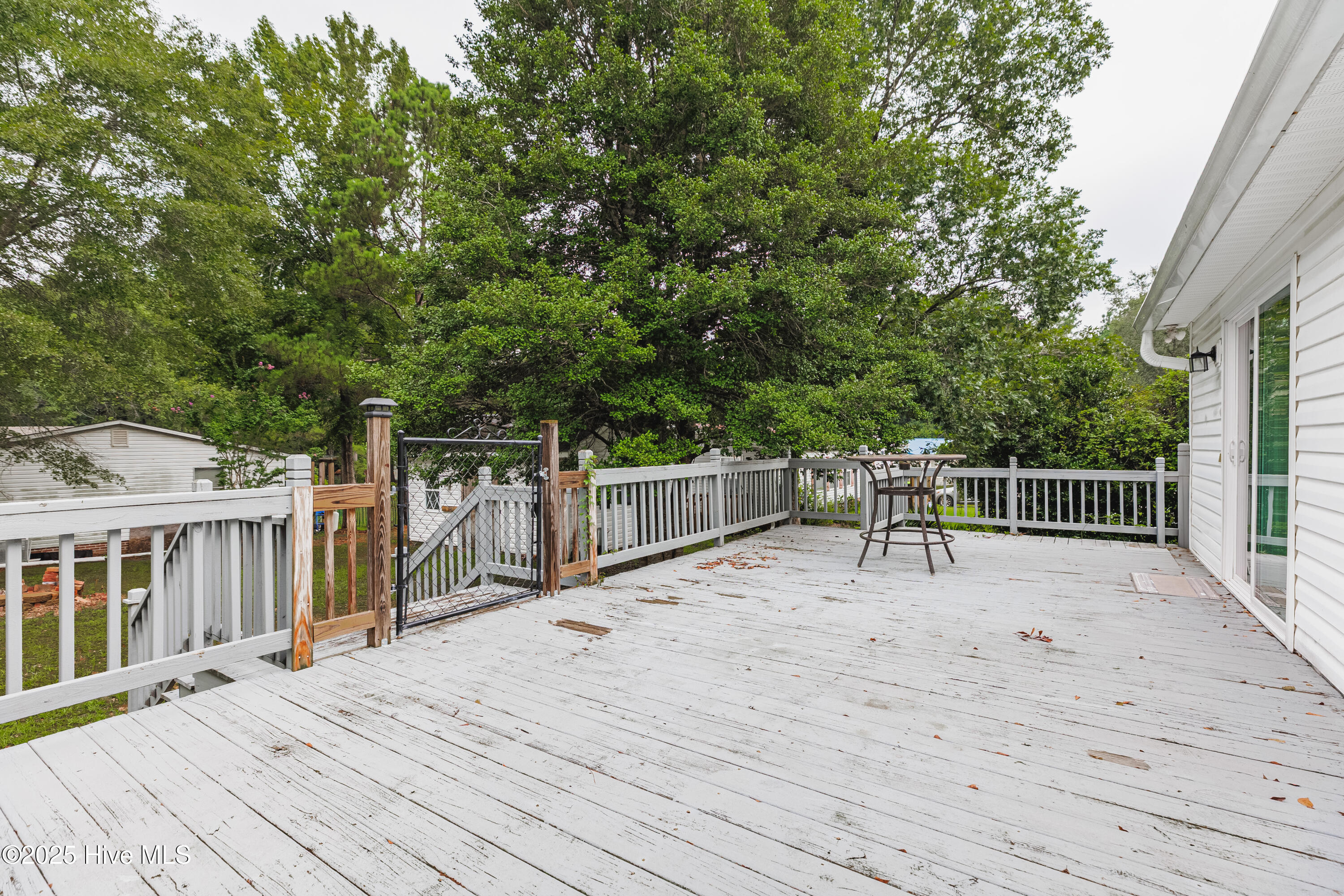 100524257 | Photo 29