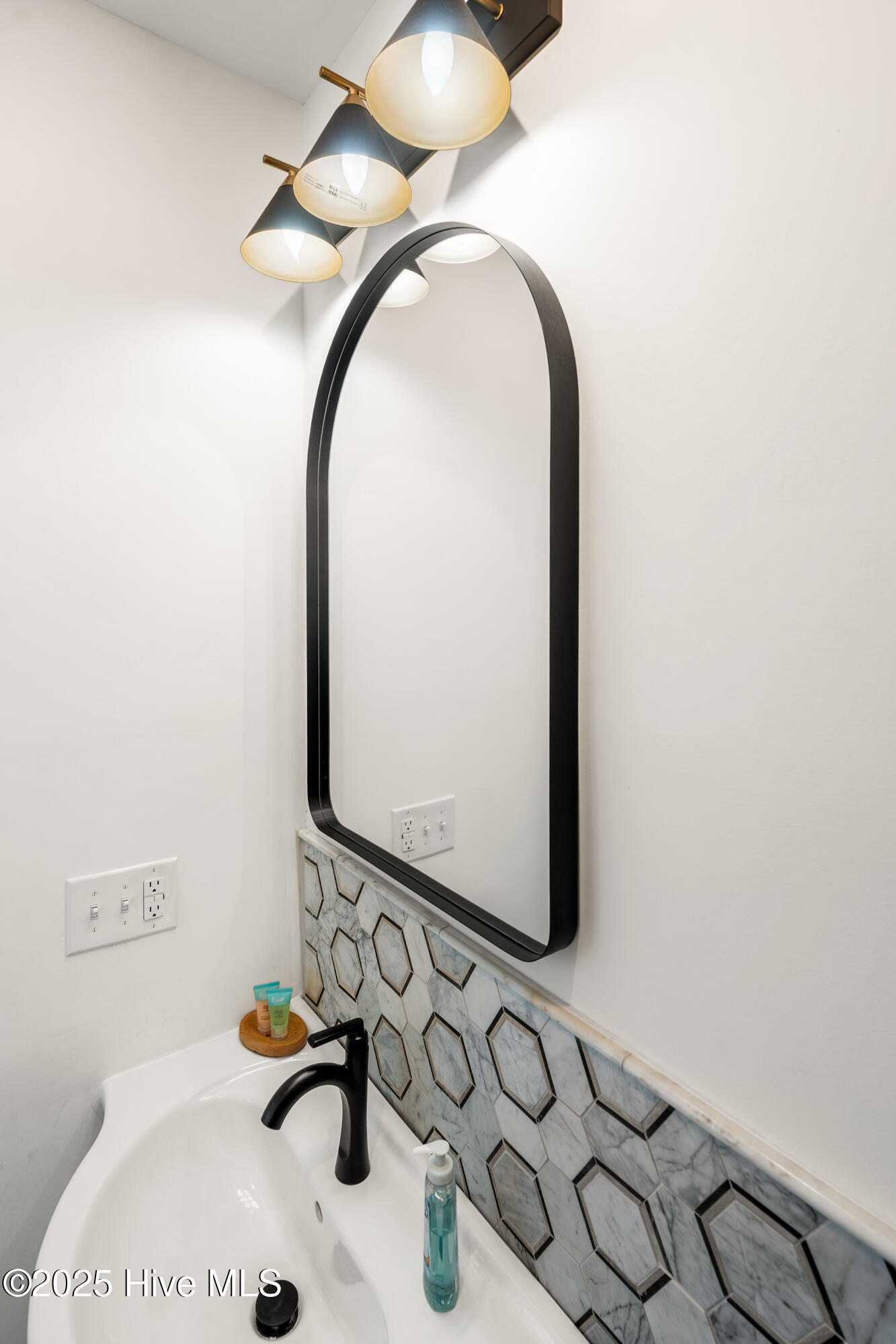 100531828 | Photo 38