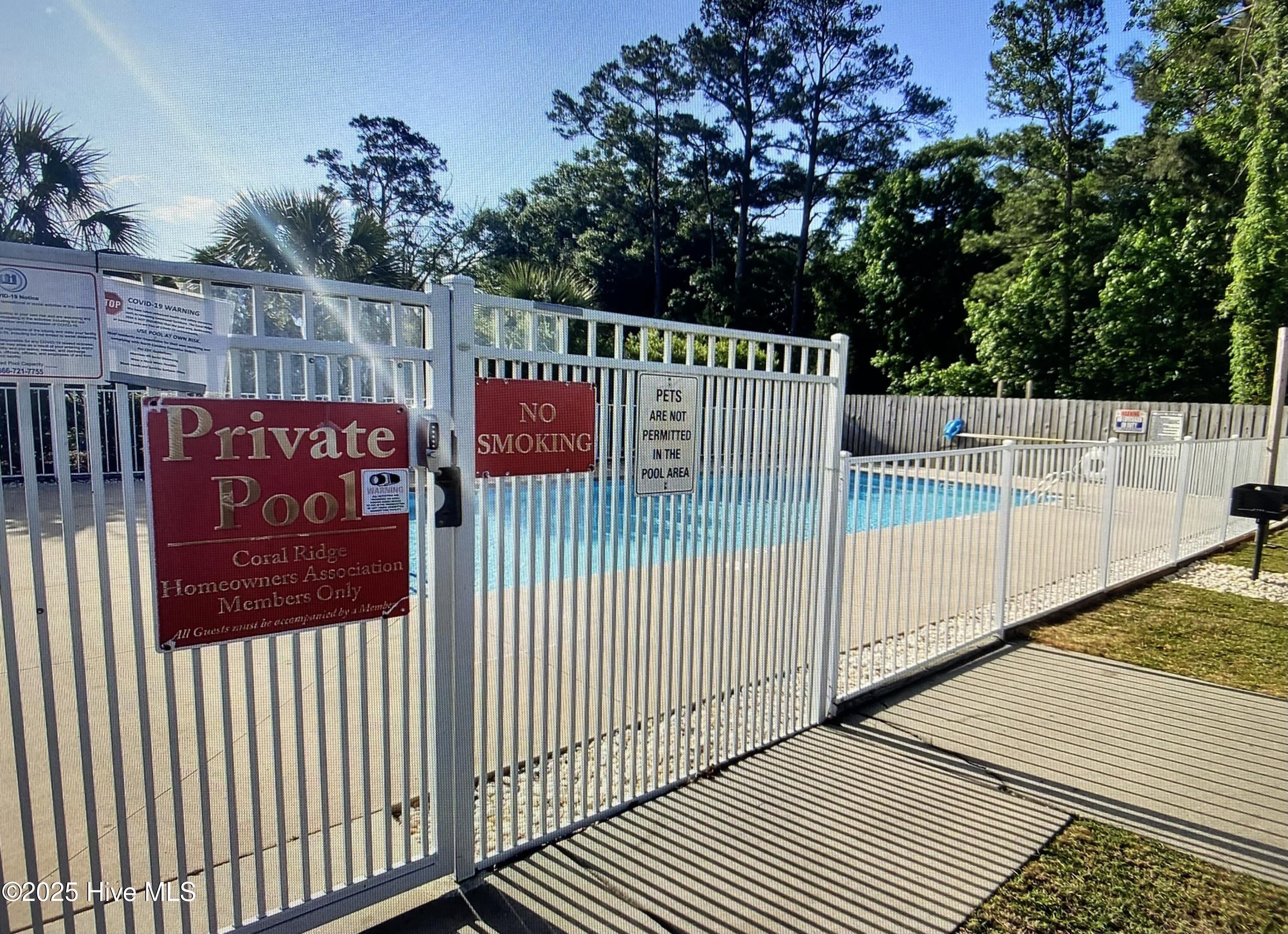 100538059 | Photo 34