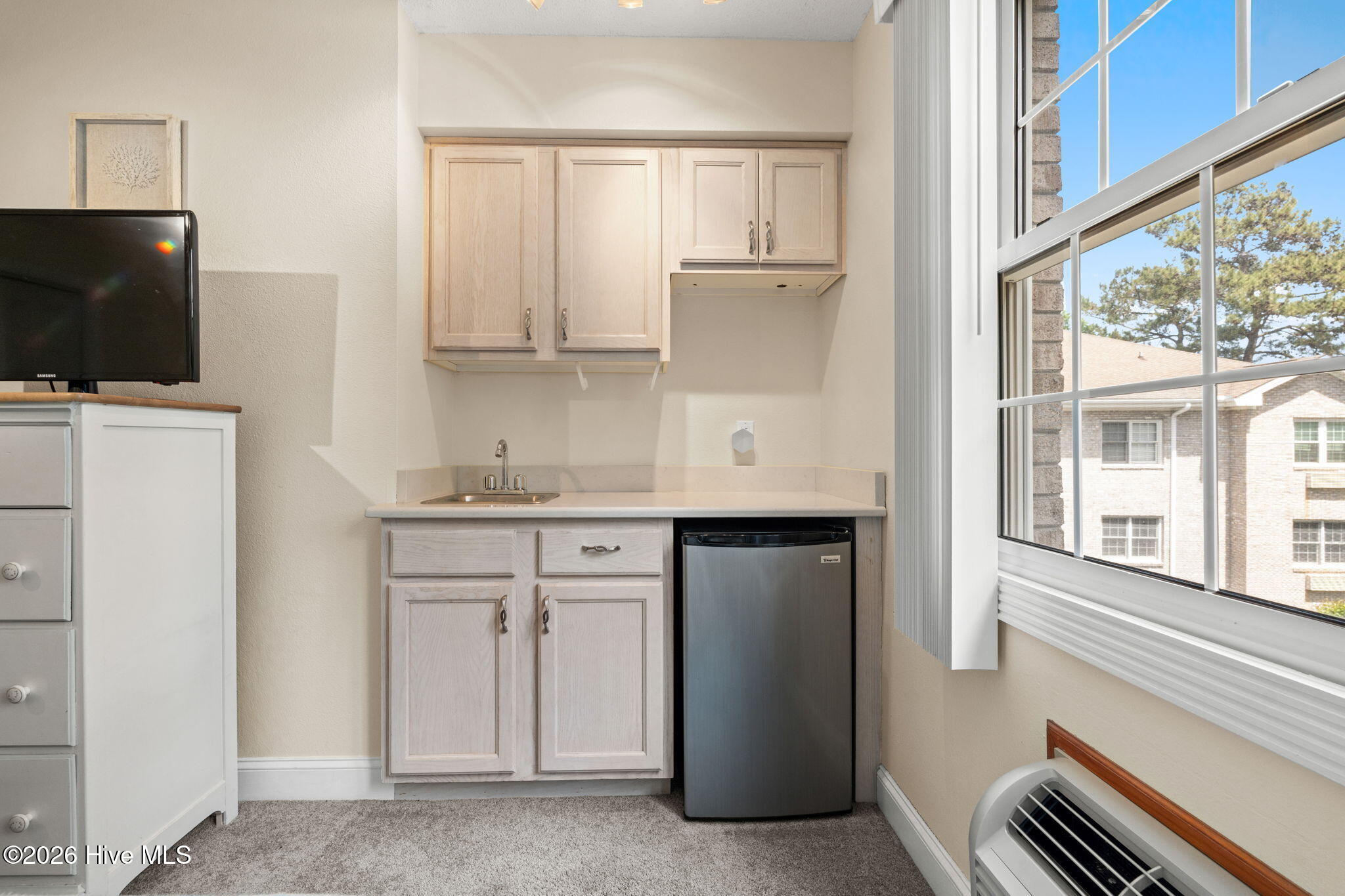 100569270 | Photo 29