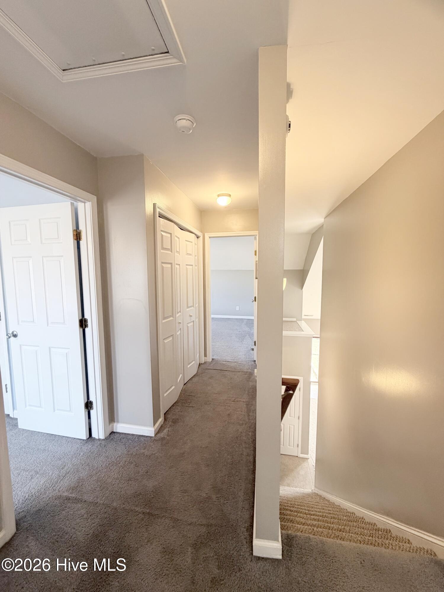 100547389 | Photo 39