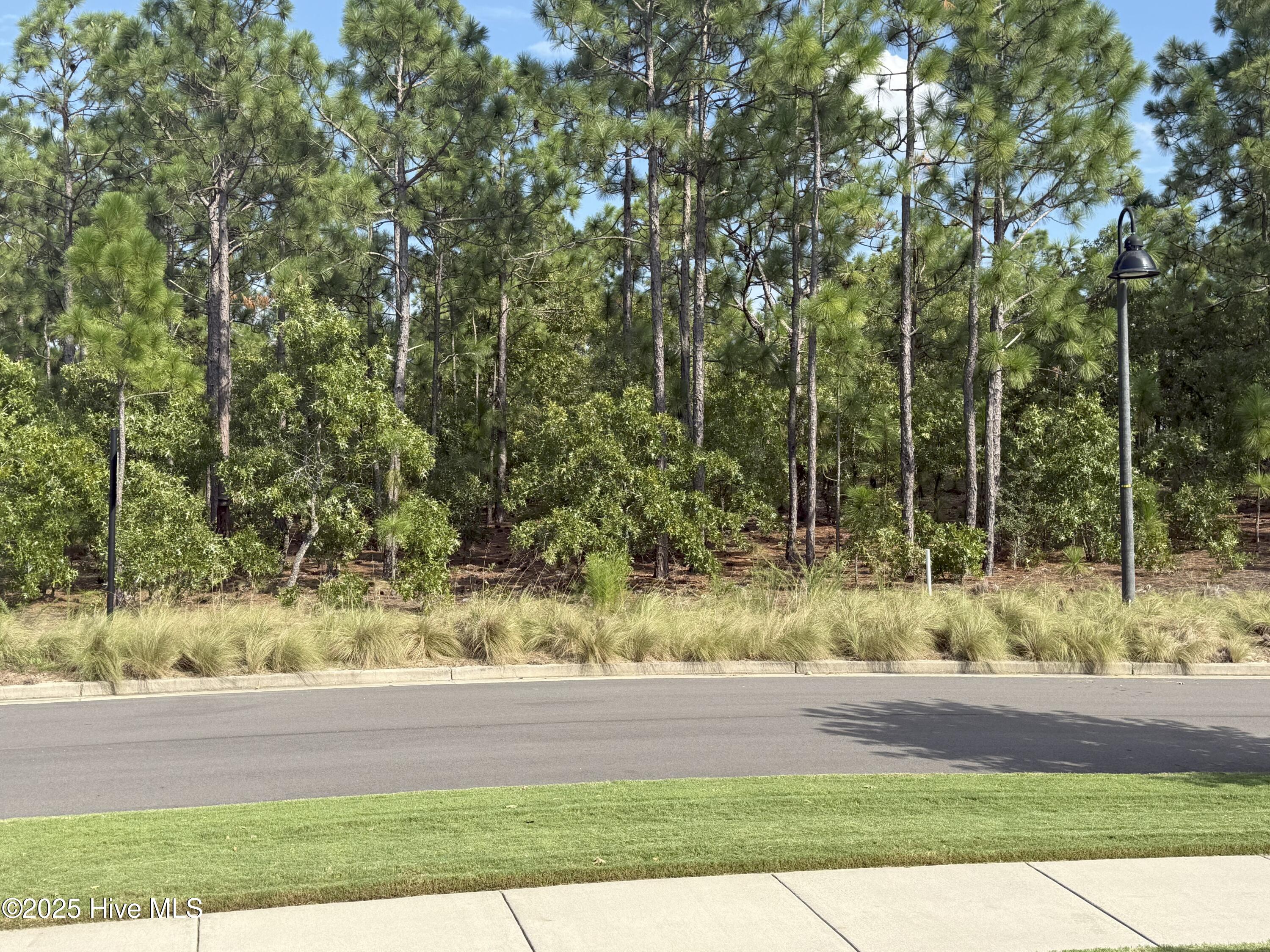 100530008 | Photo 16