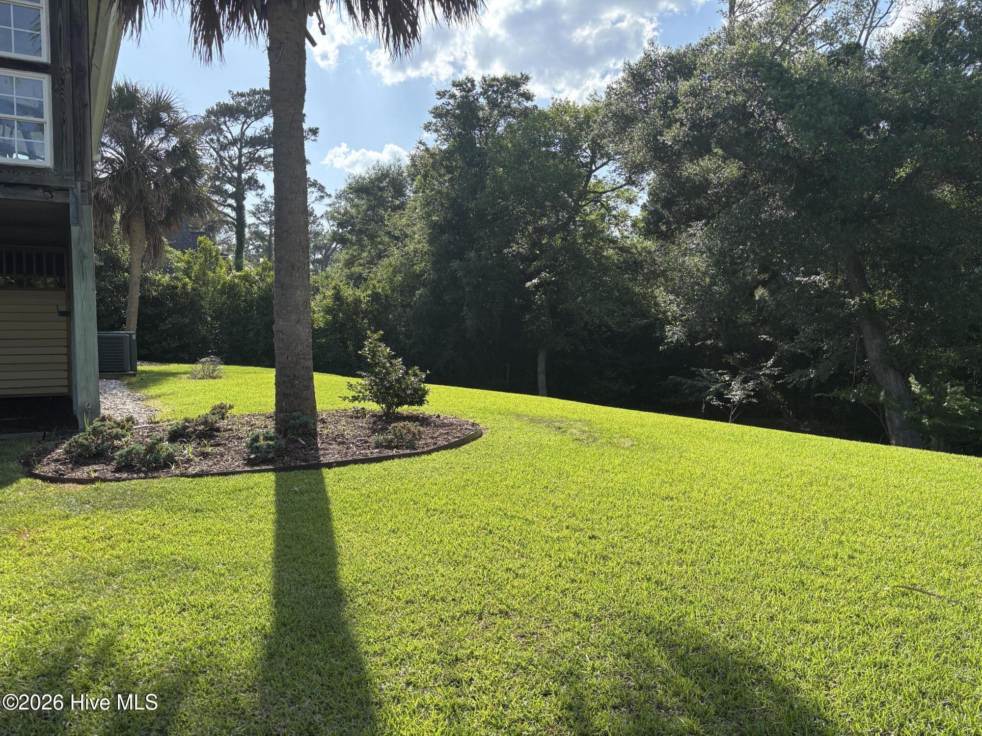 100560491 | Photo 14