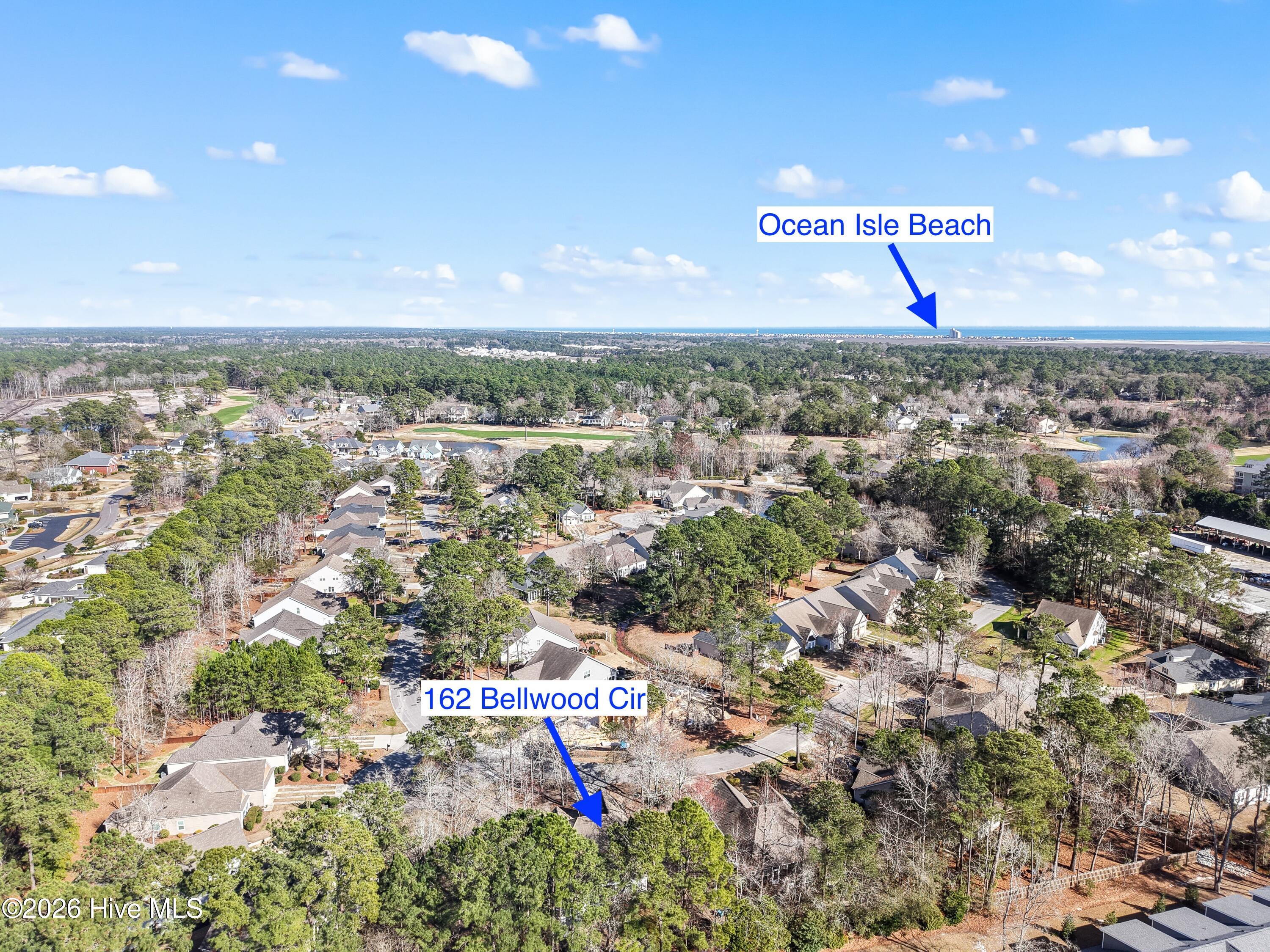 100540219 | Photo 36