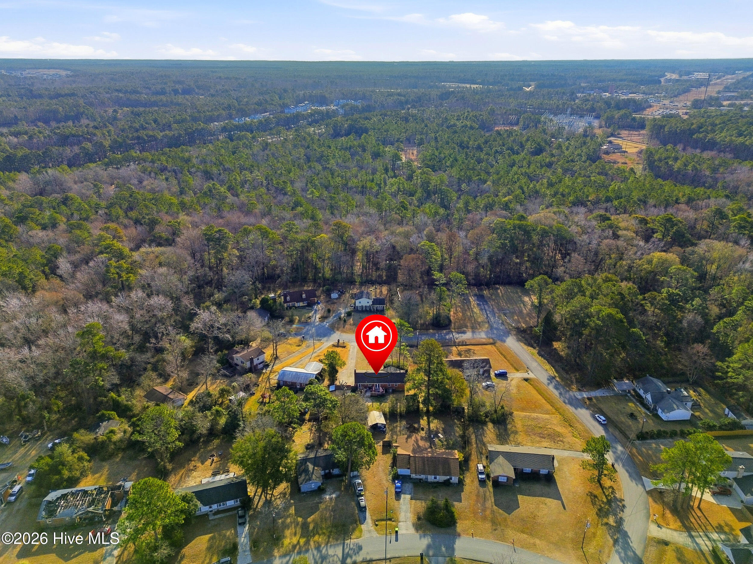 100551397 | Photo 34