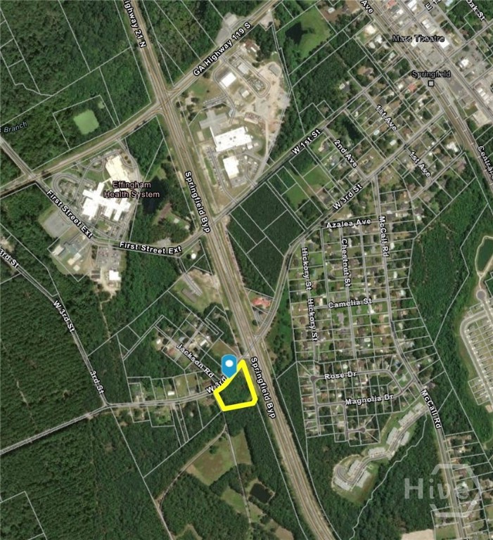 581 W 3rd St Ext & Hwy 21, Springfield, Georgia, 0 ,Retail,For sale,W 3rd St Ext & Hwy 21,SA353391