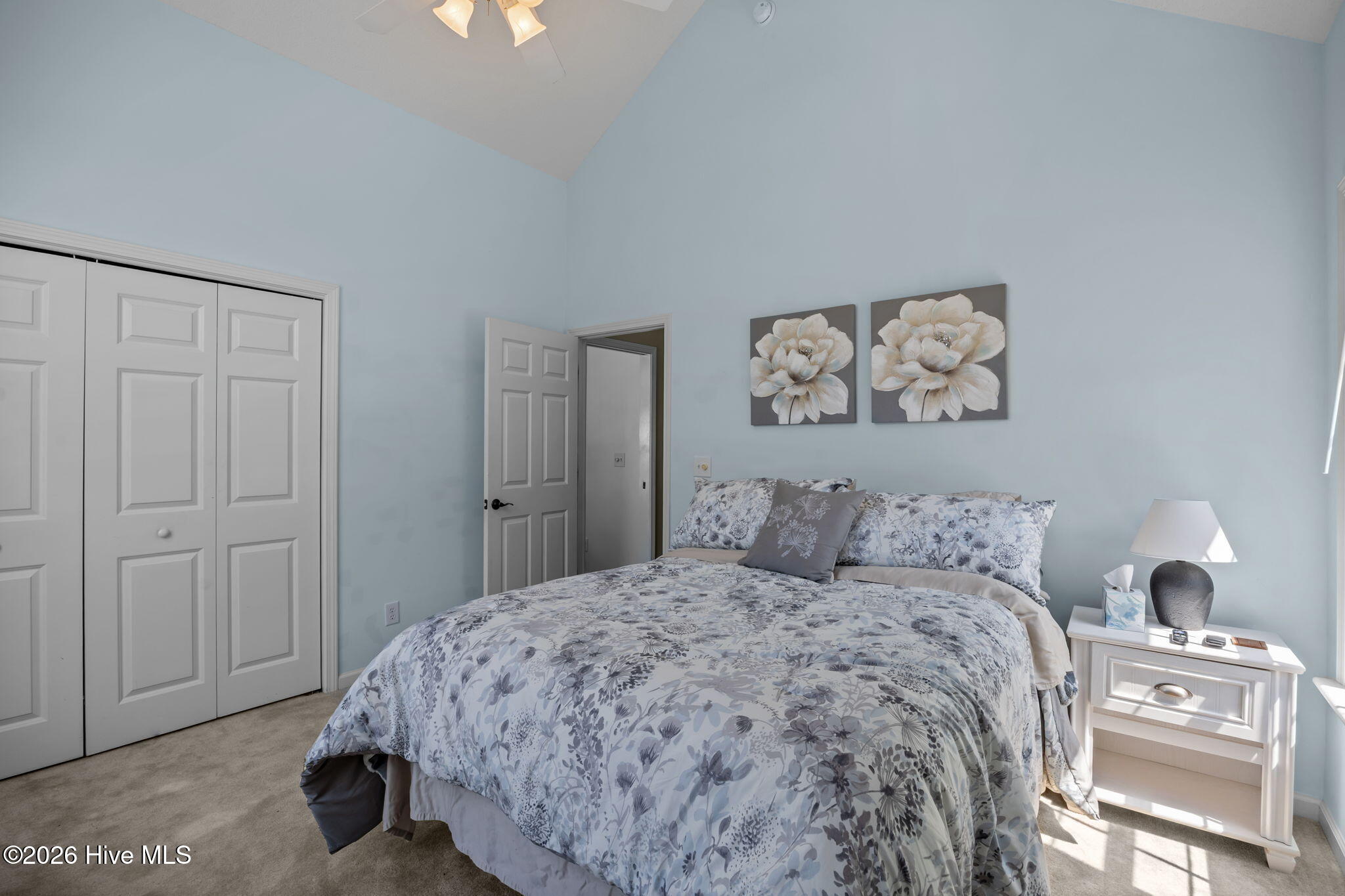 100569255 | Photo 21