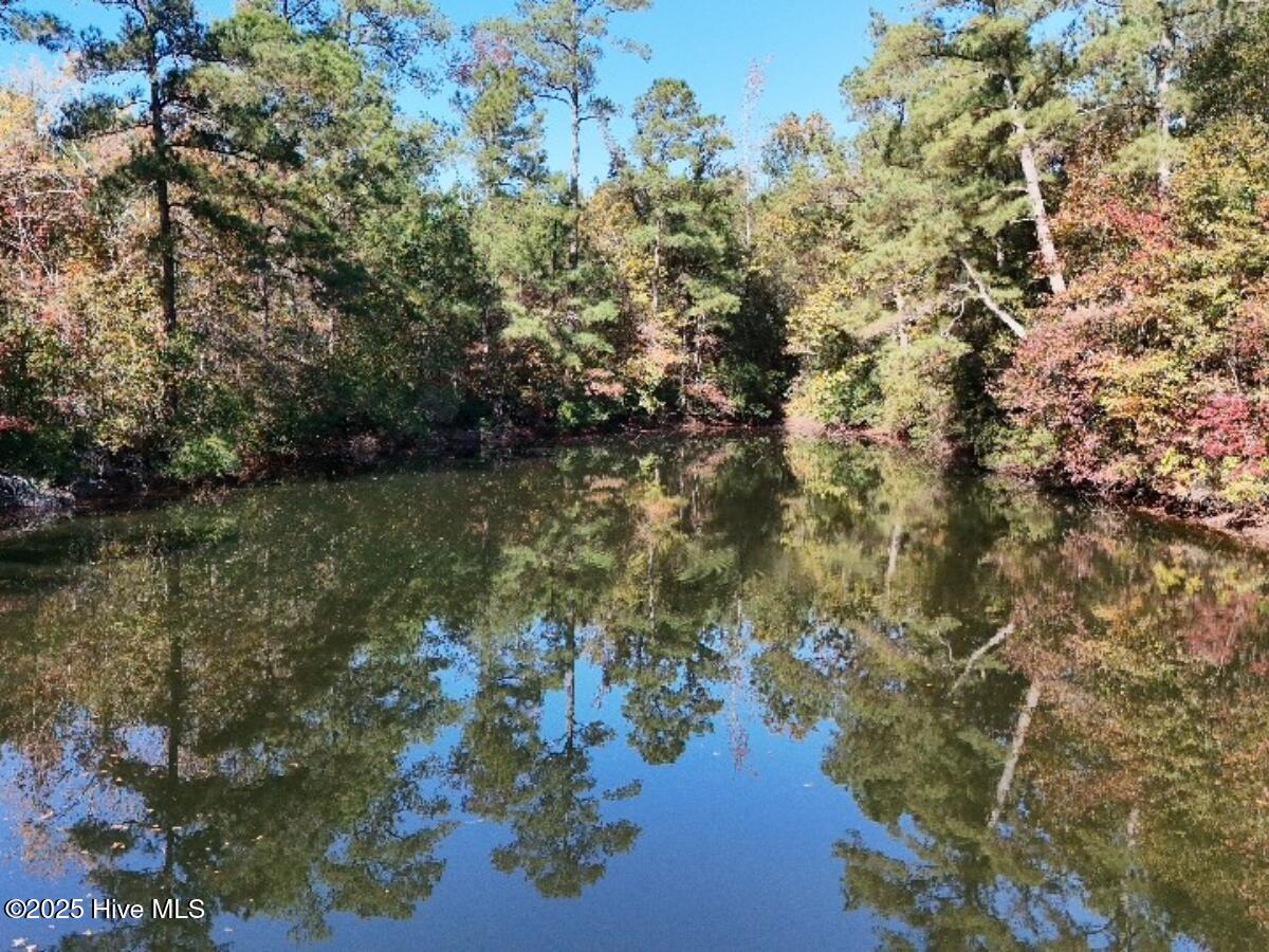 100540348 | Photo 14