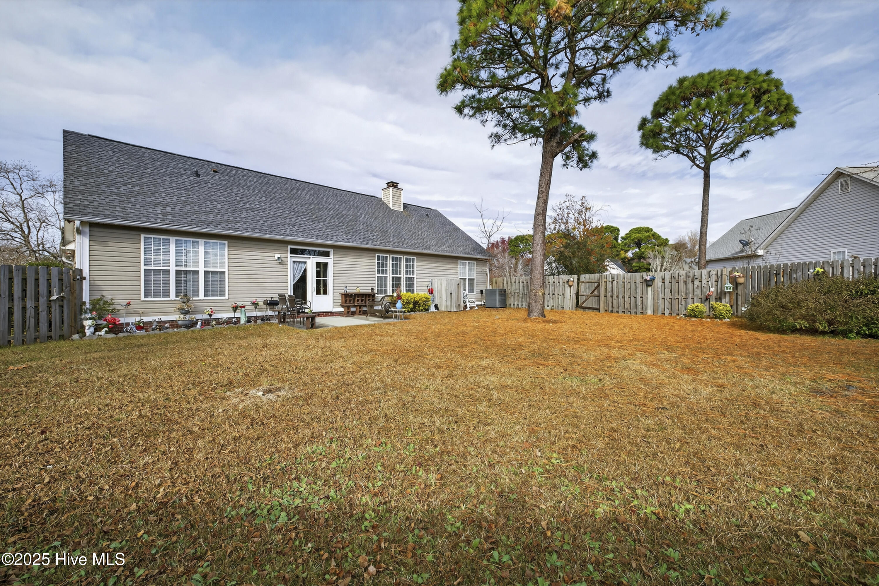 100546017 | Photo 11