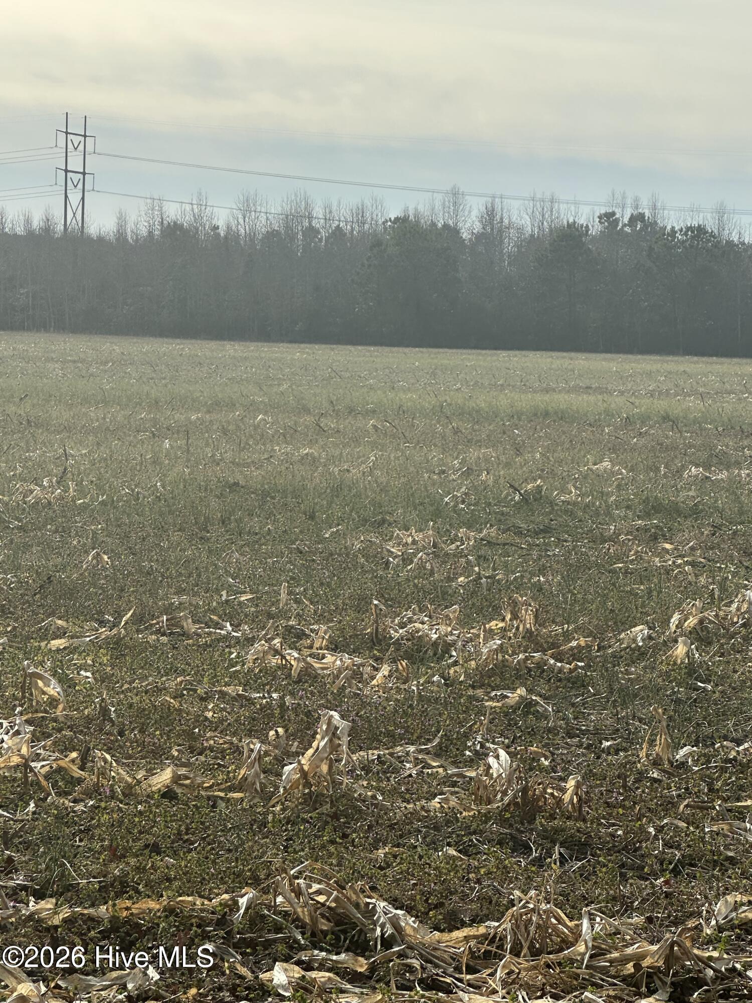 Homes for sale in Jarvisburg, NC | 2 Fisher Landing Rd, Jarvisburg, NC 27947 | MLS# 100547245