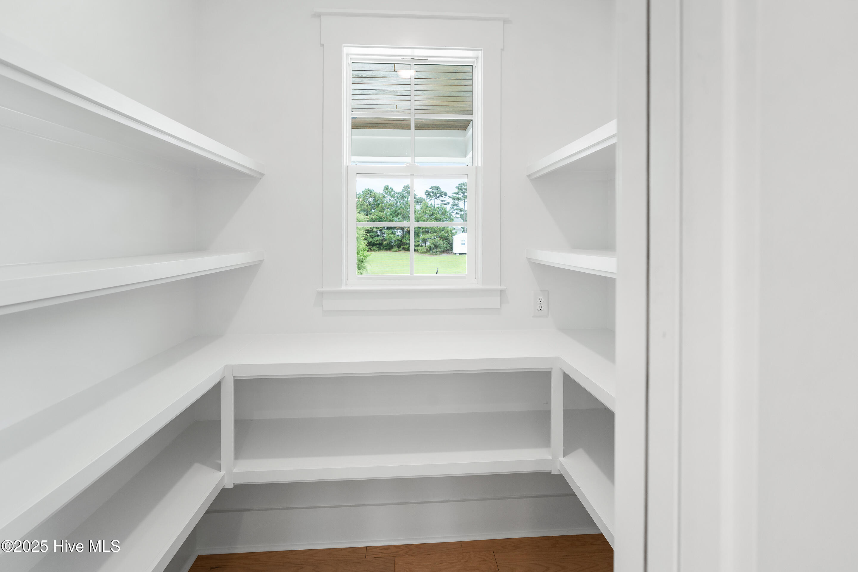 100517421 | Photo 17