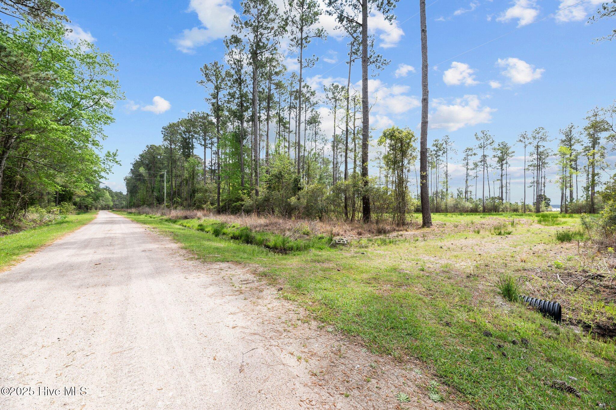 Driveway 2 to cleared homesite
