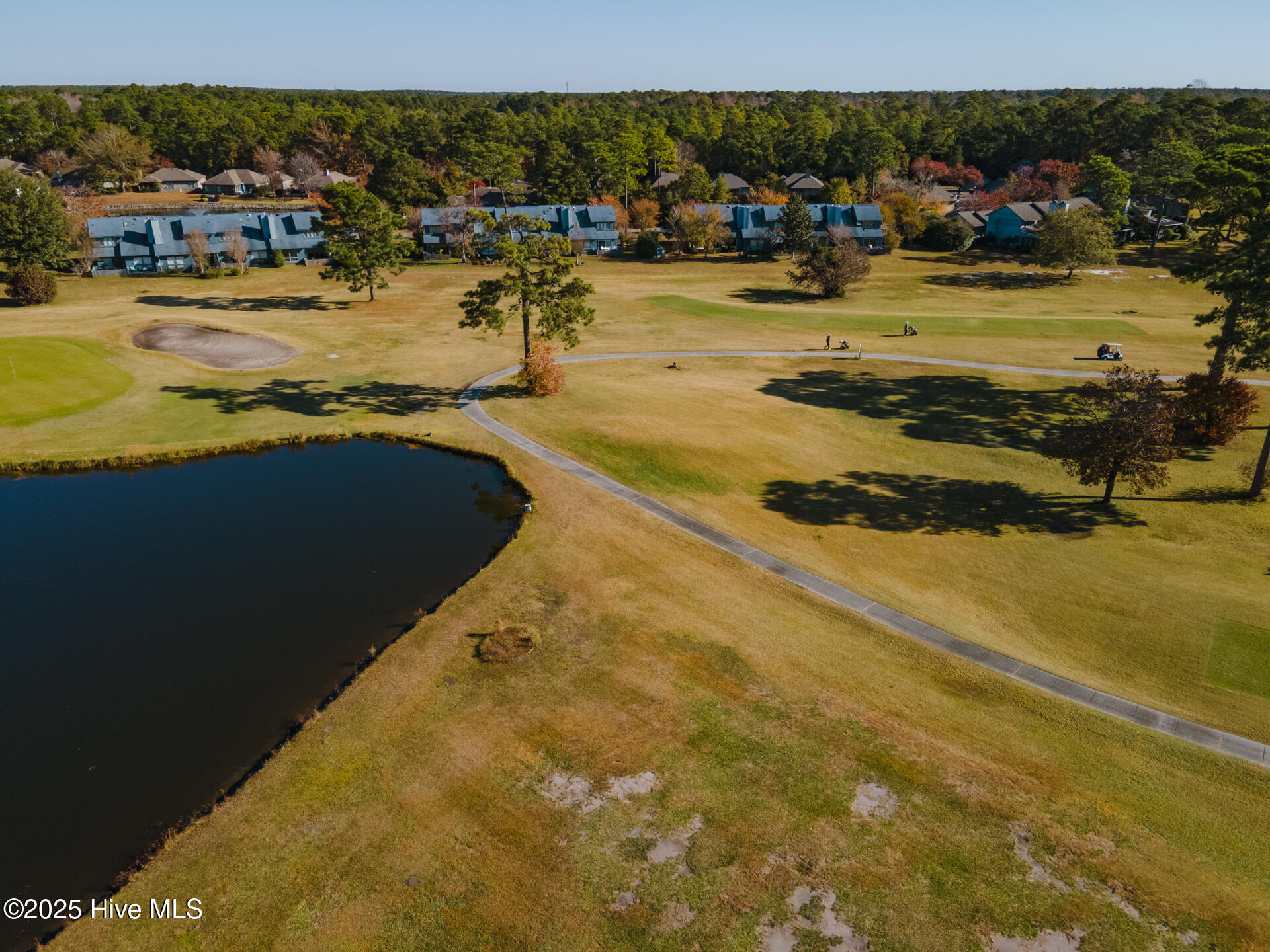 100526390 | Photo 59