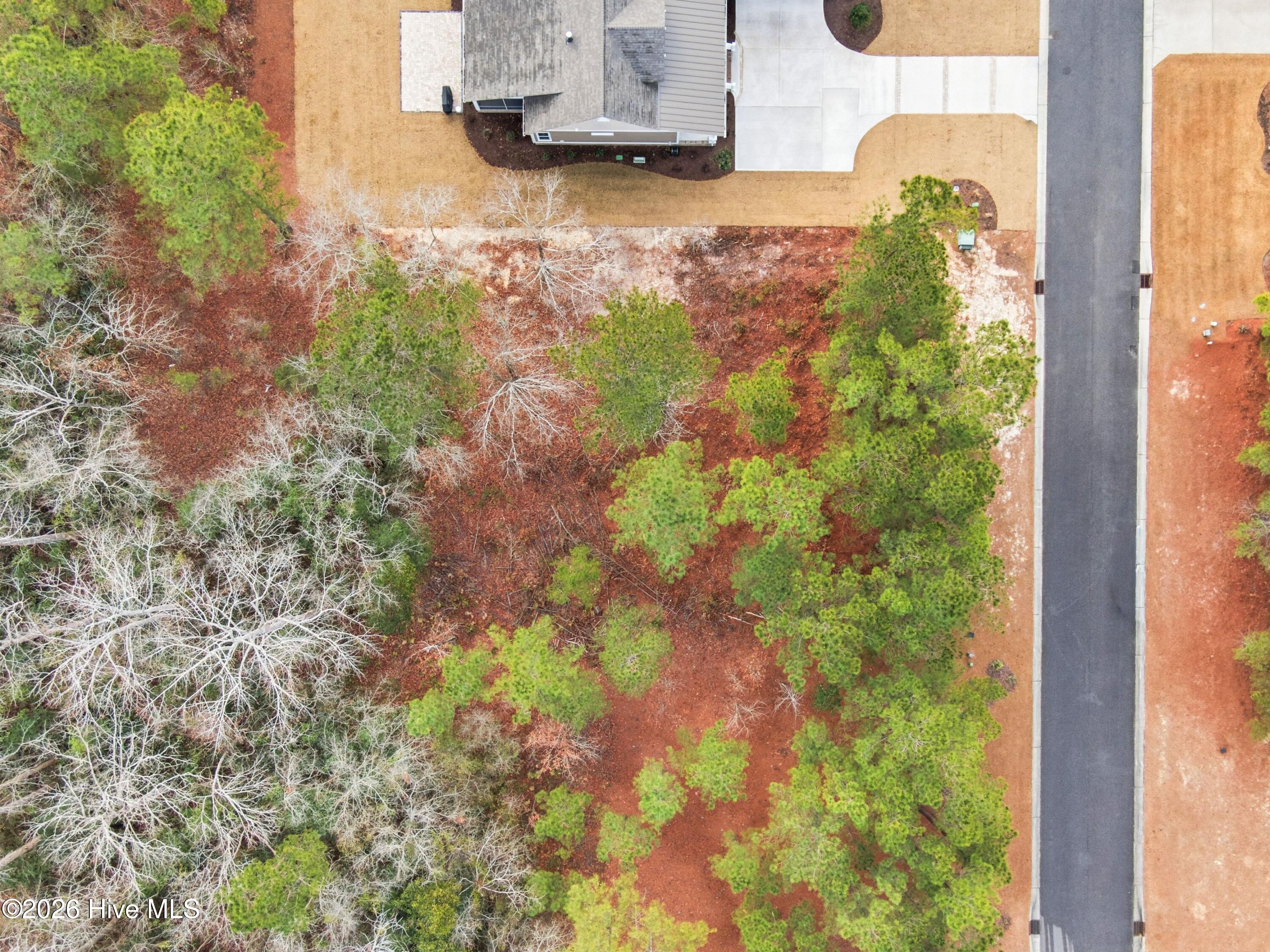 100551490 | Photo 63