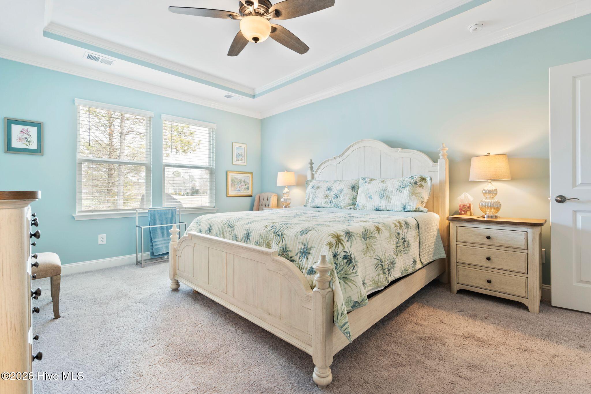 100553867 | Photo 20