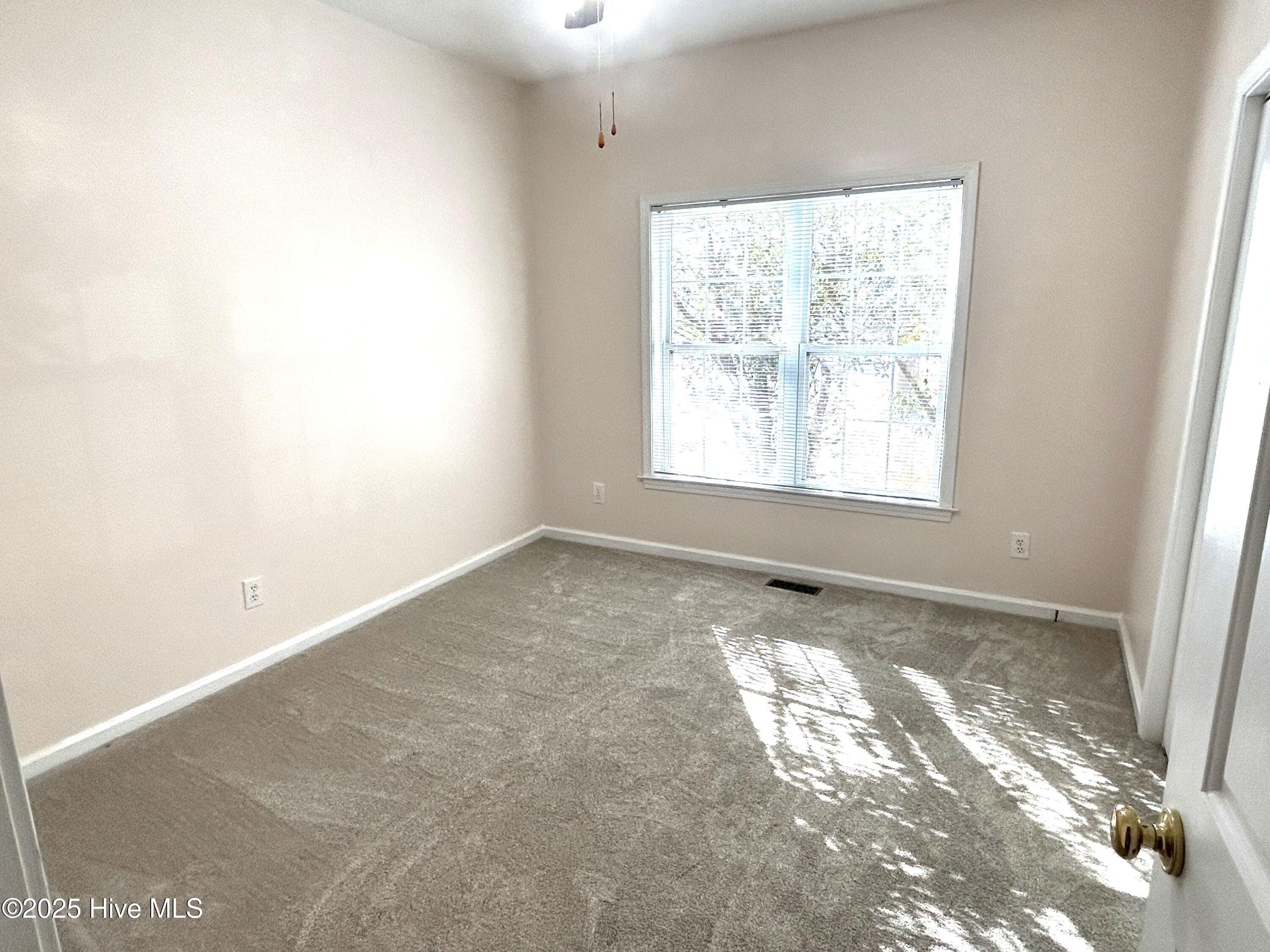 100546134 | Photo 15