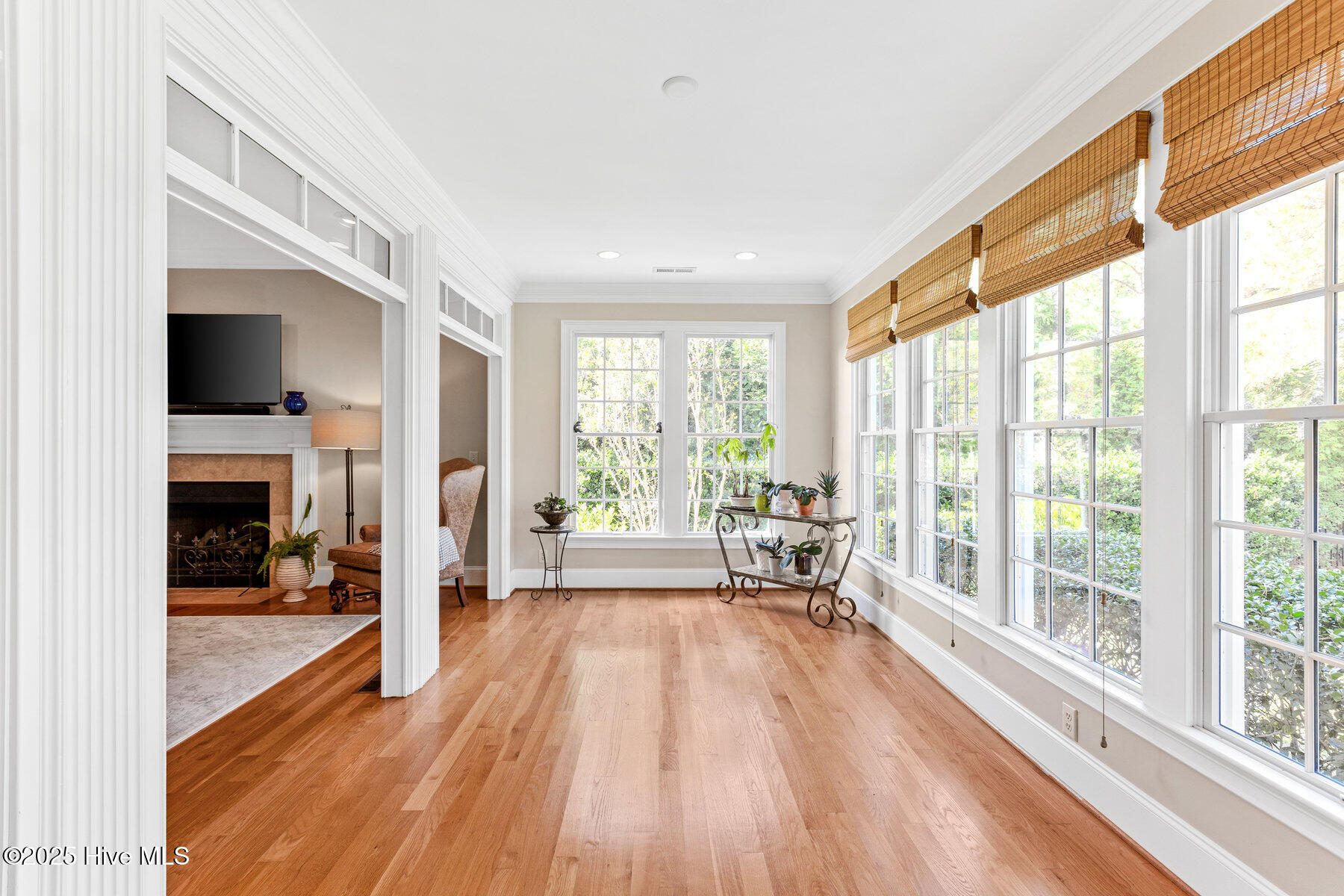 100535740 | Photo 12