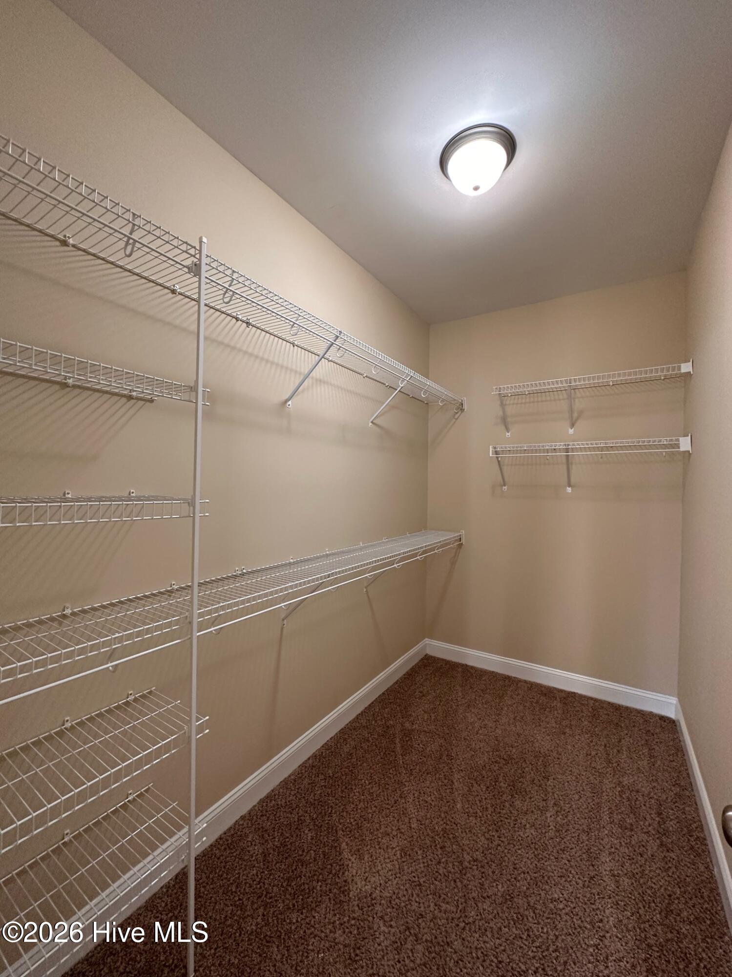 100557868 | Photo 29