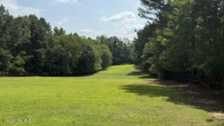 5th image of 210 West Rd, Angier, NC 27501 | MLS# 100593594