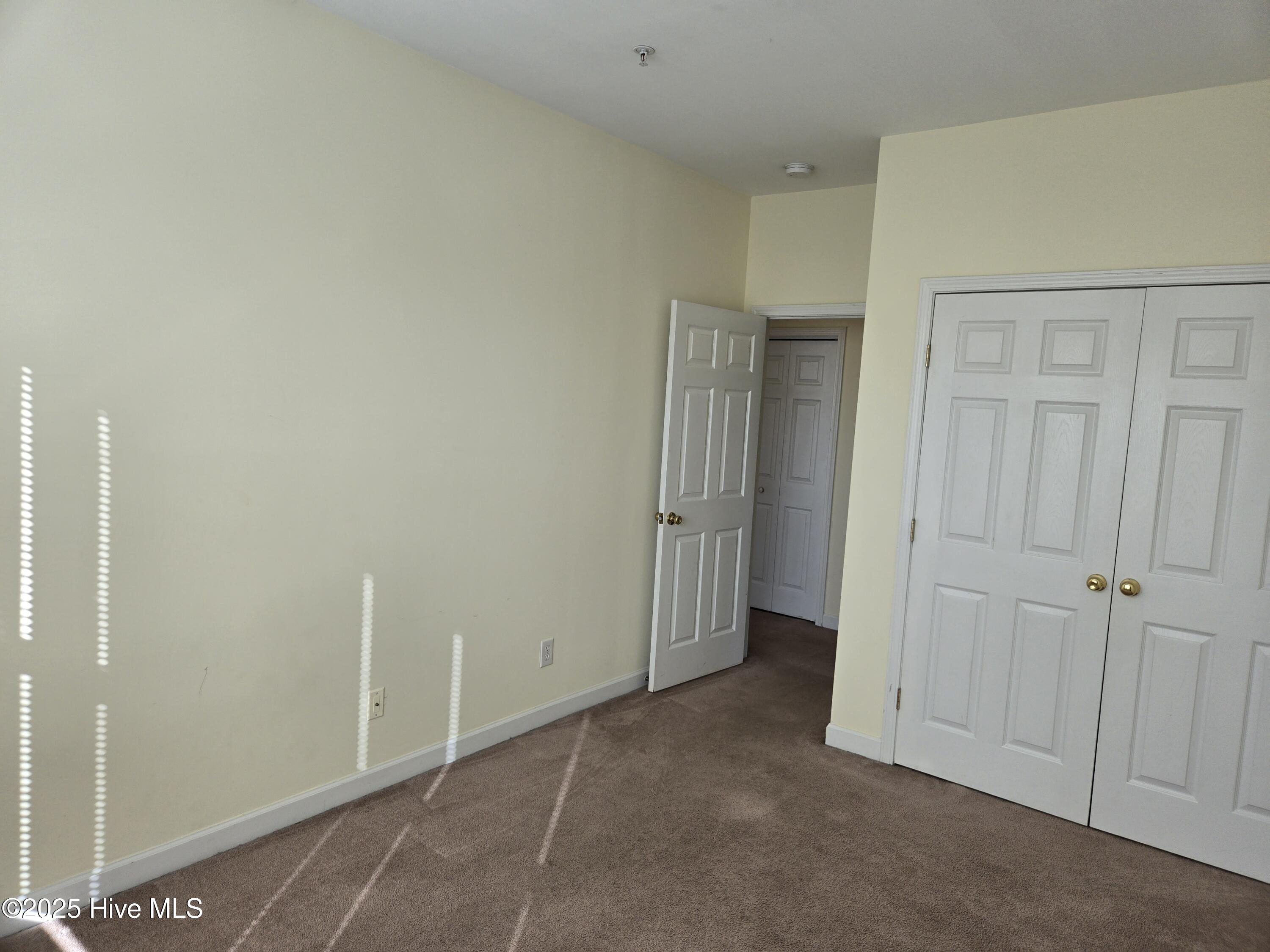 100538006 | Photo 17