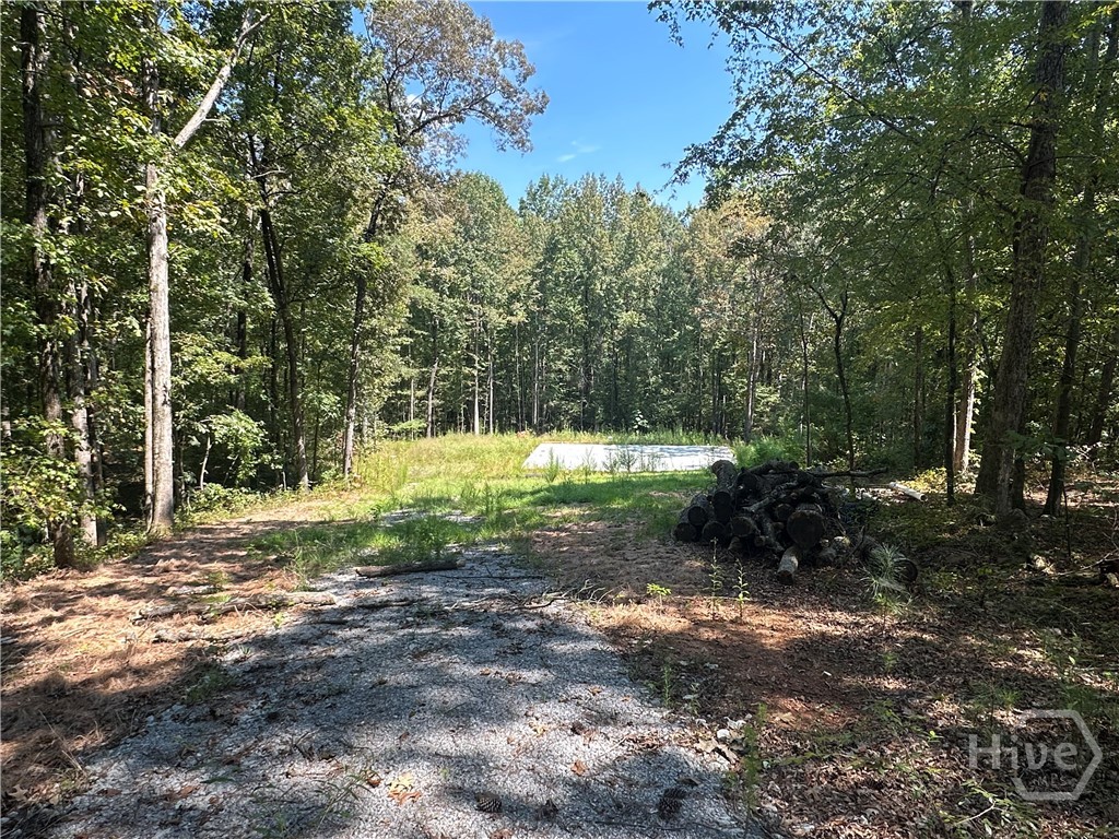 46 Creek, Winterville, Georgia, 0 ,Land,For sale,Creek,CL339808 46 Creek, Winterville, Georgia, 0 ,Land,For sale,Creek,CL339808