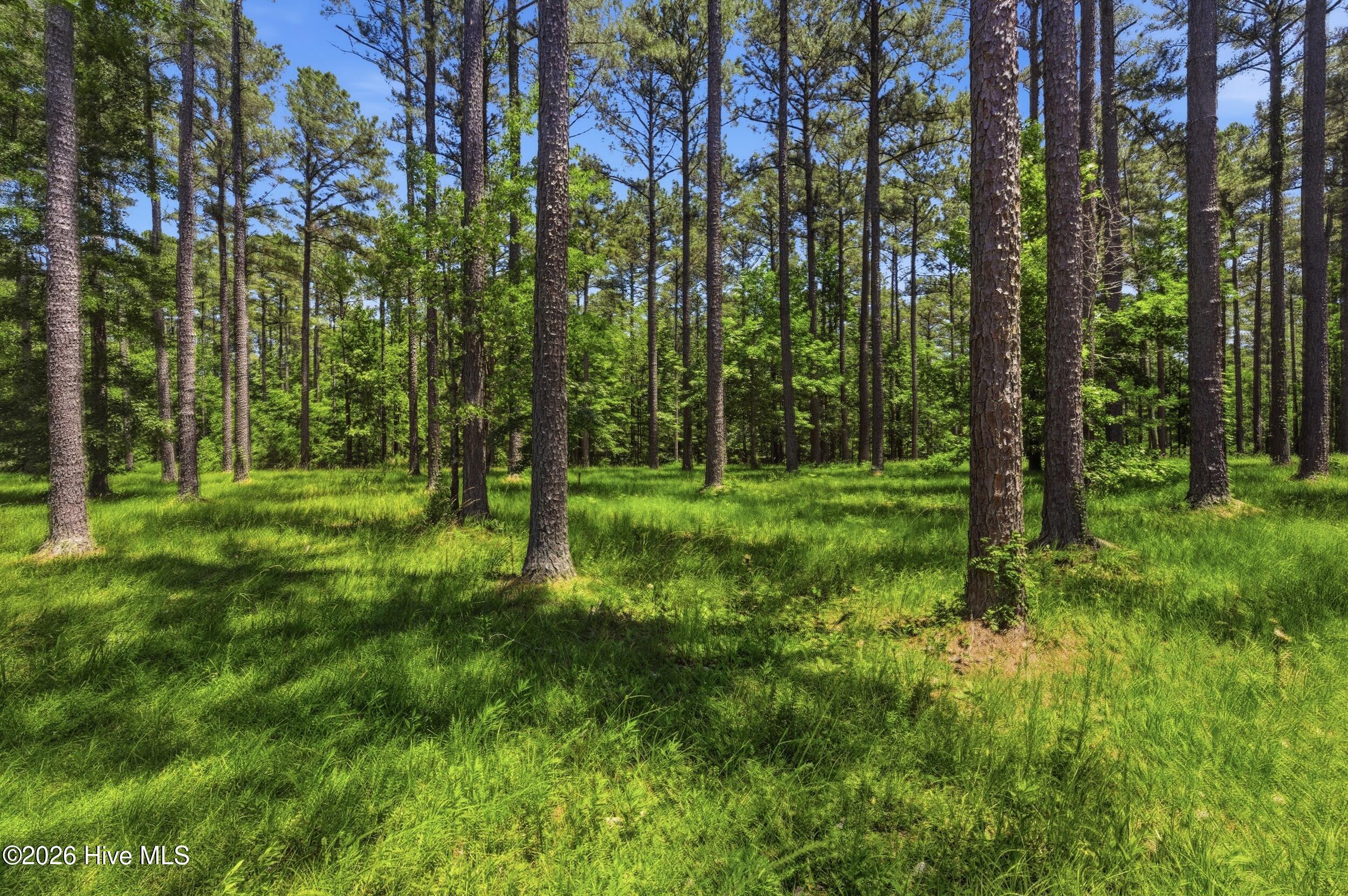 130 Ocracoke Drive,Oriental