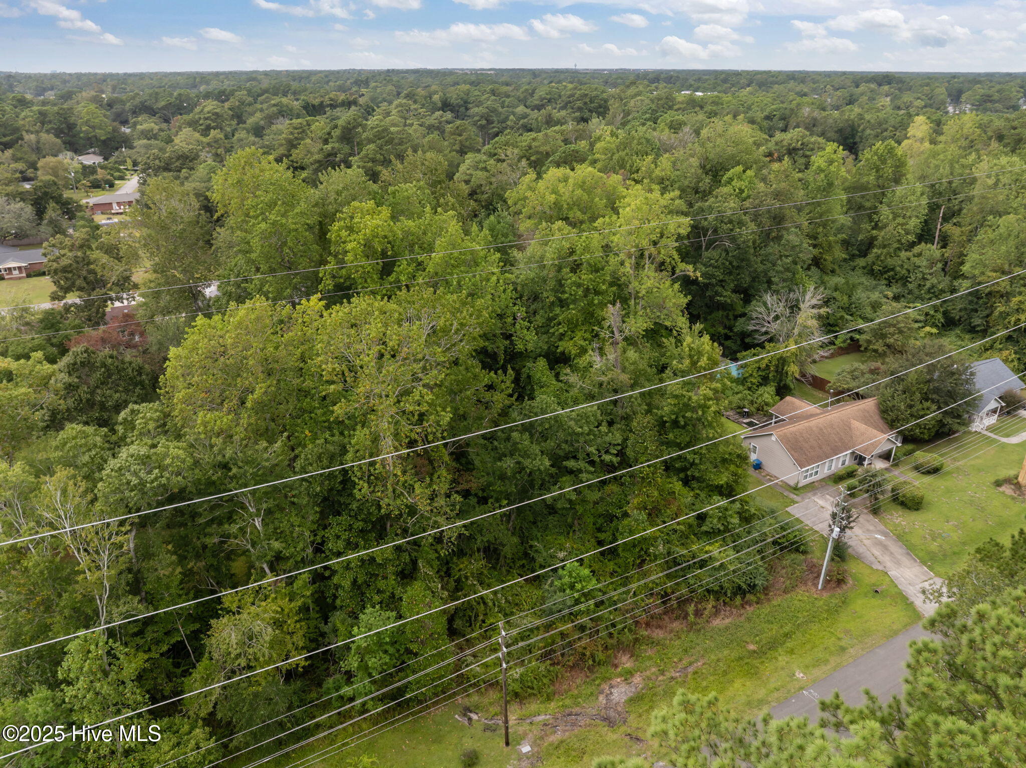 100529798 | Photo 11