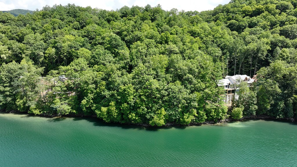 Homes for sale in Nantahala, NC | 42 Reflection Dr, Nantahala, NC 28781 | MLS# 98543712