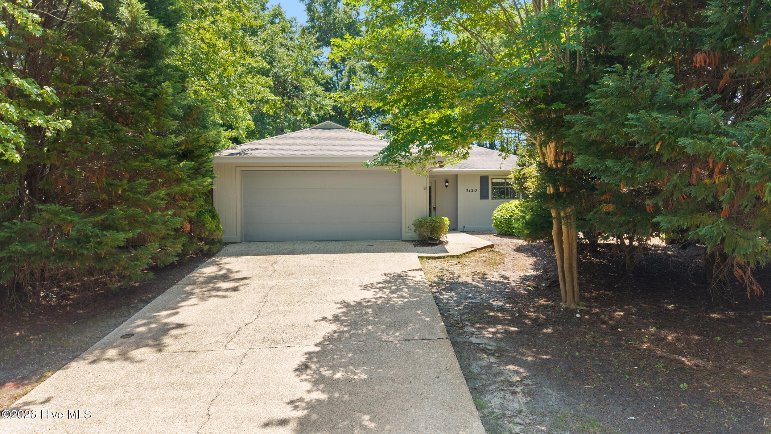 100569768 | Photo 34