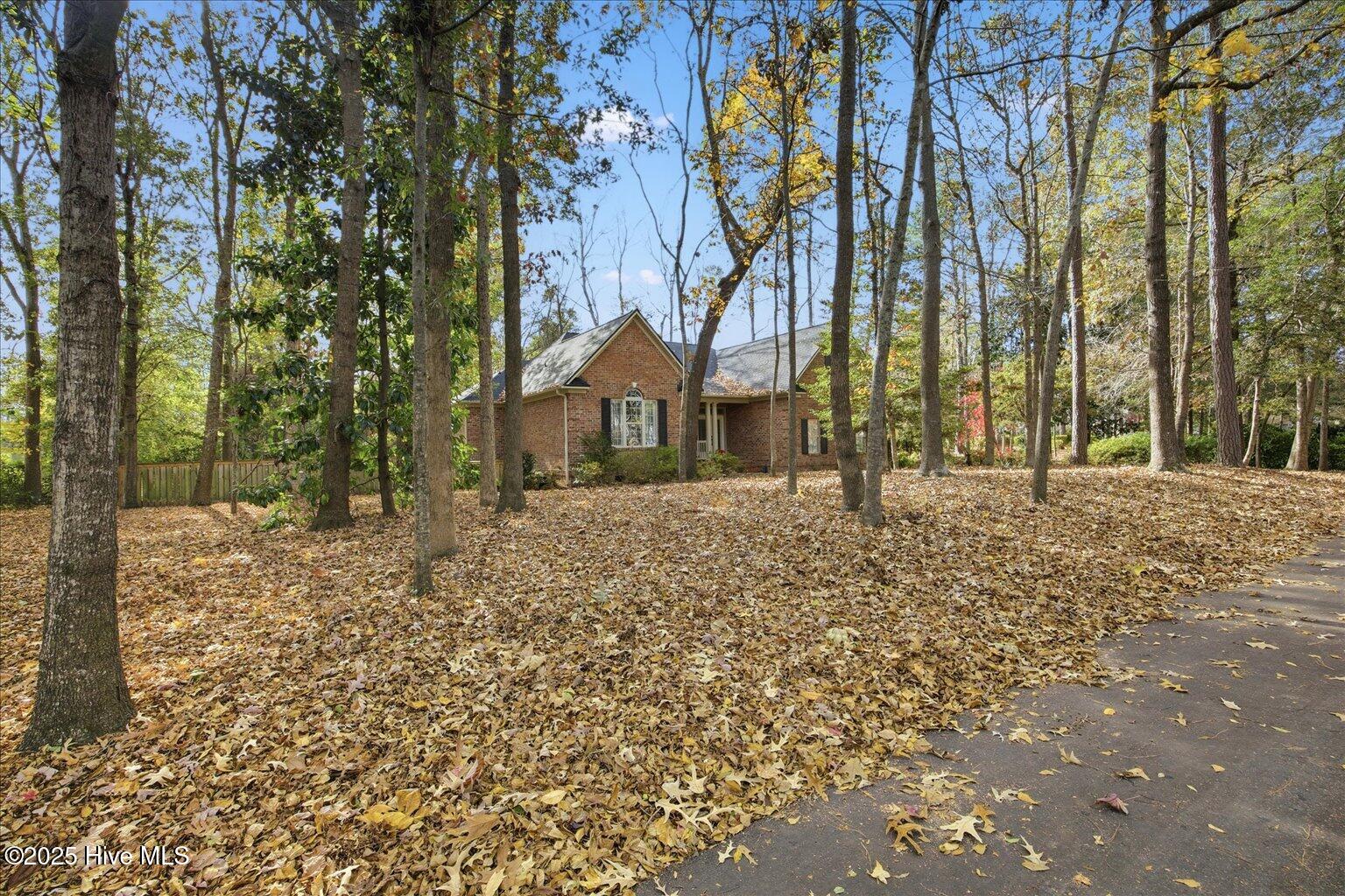 100543619 | Photo 37