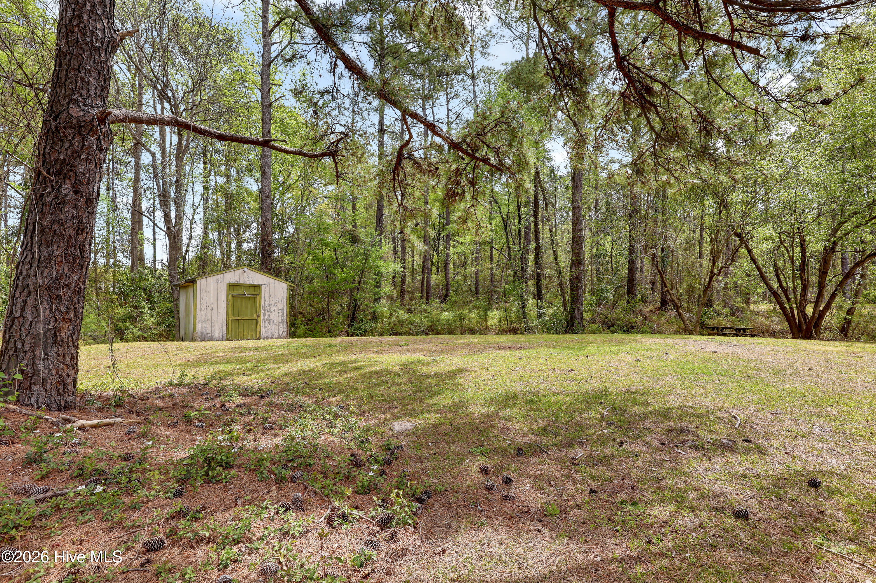 100564655 | Photo 32