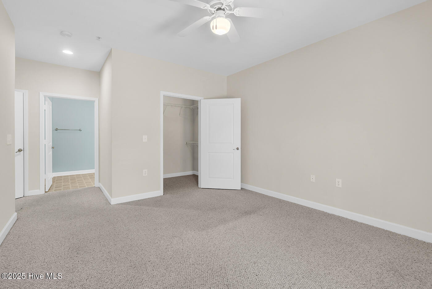 100537491 | Photo 13