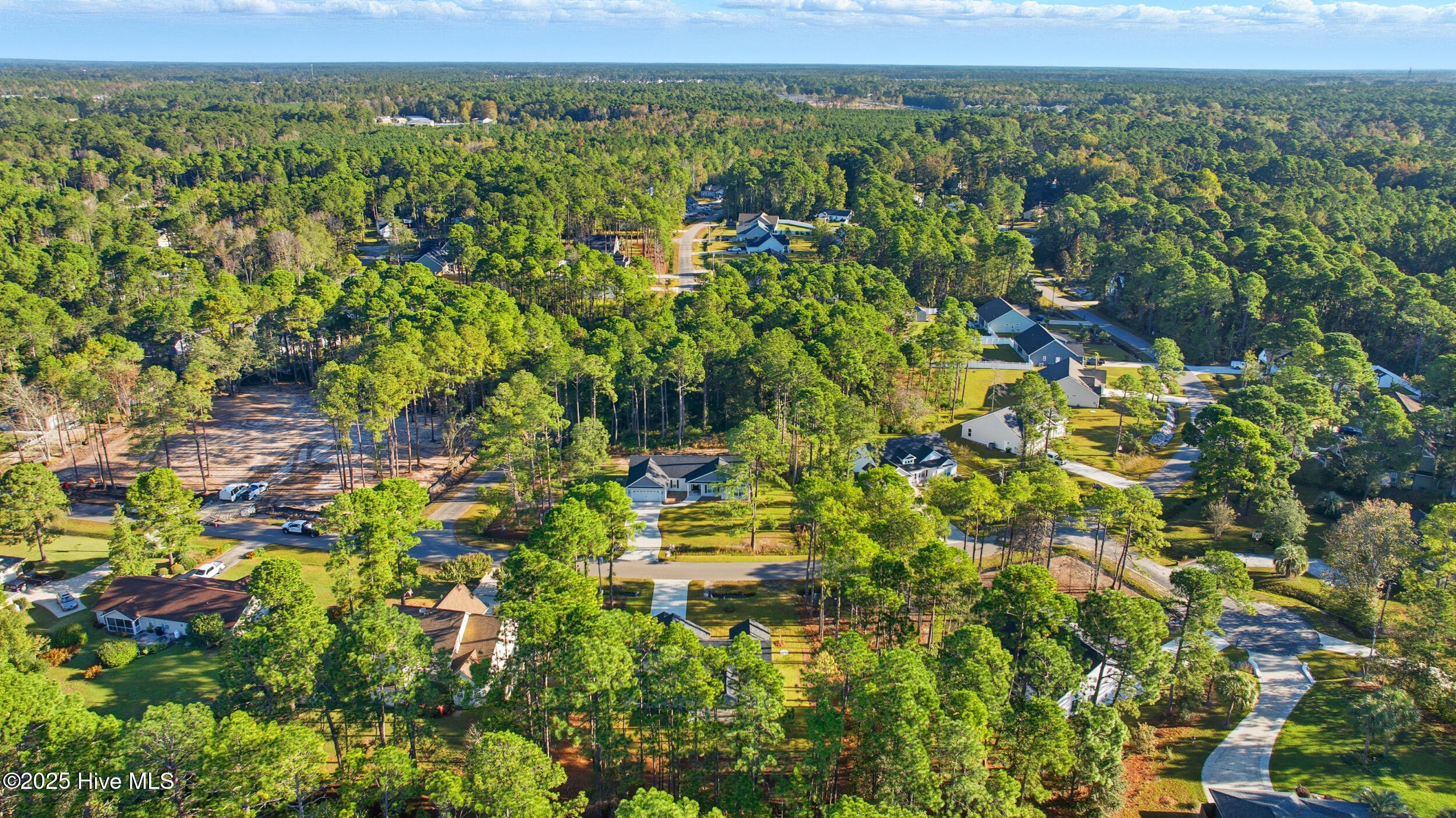 100504171 | Photo 24