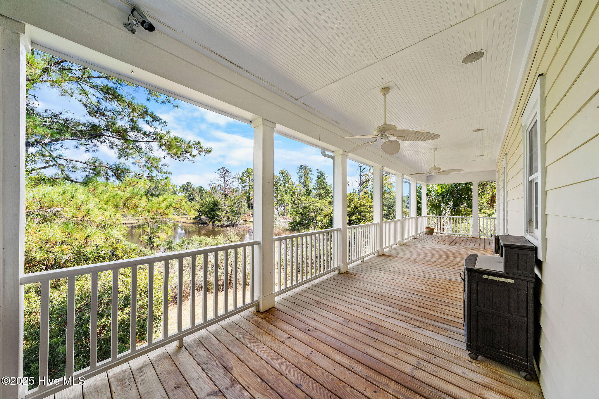 100532416 | Photo 100