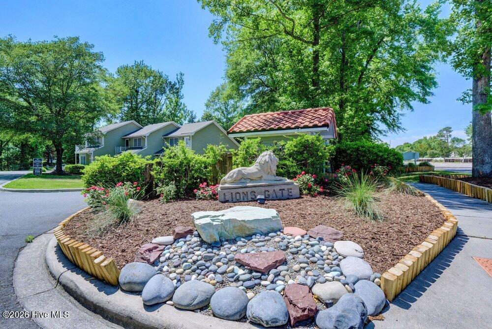 100558387 | Photo 39