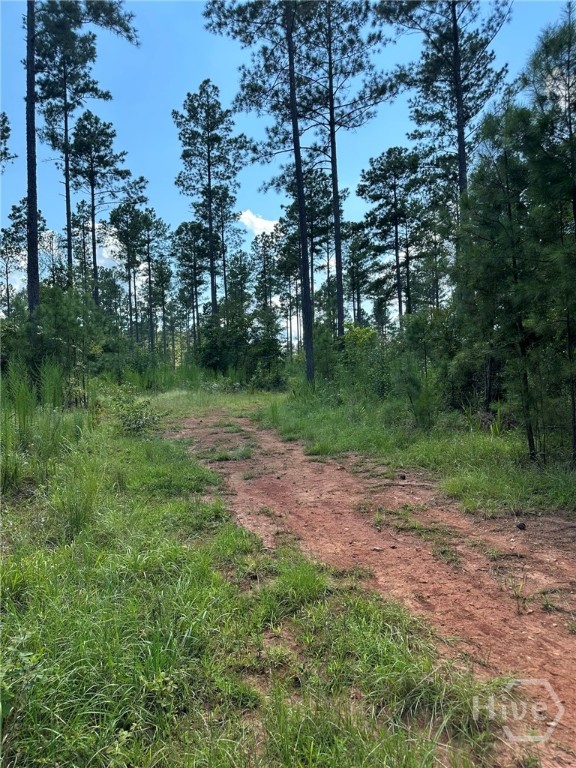 00 Fears, Madison, GA, 30650