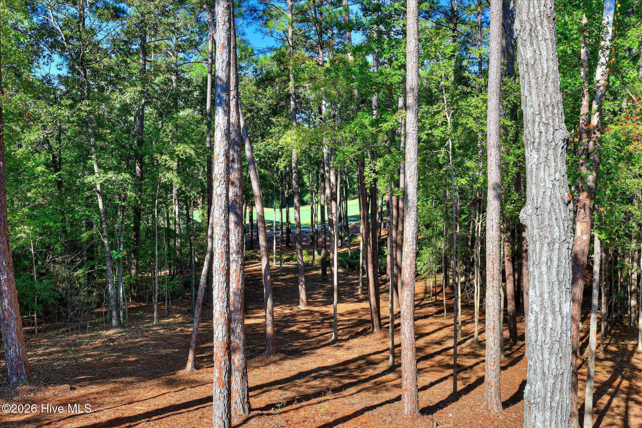 Photo 3 of Single family home for sale at 212 Pirates Cvs, Mc Cormick, SC 29835 | MLS# 100608808 | Listing updated on 2026-10-07