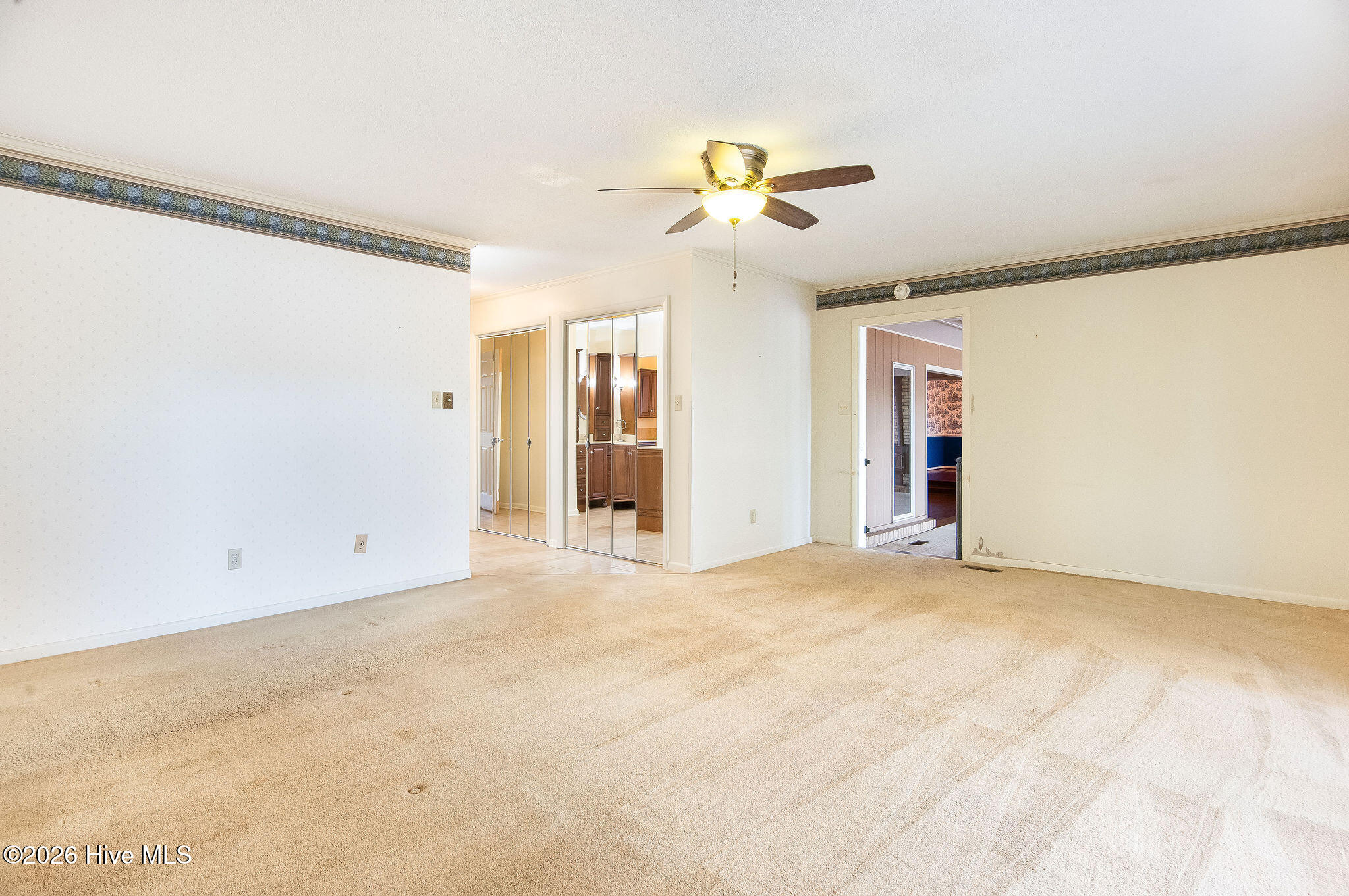 100556602 | Photo 32