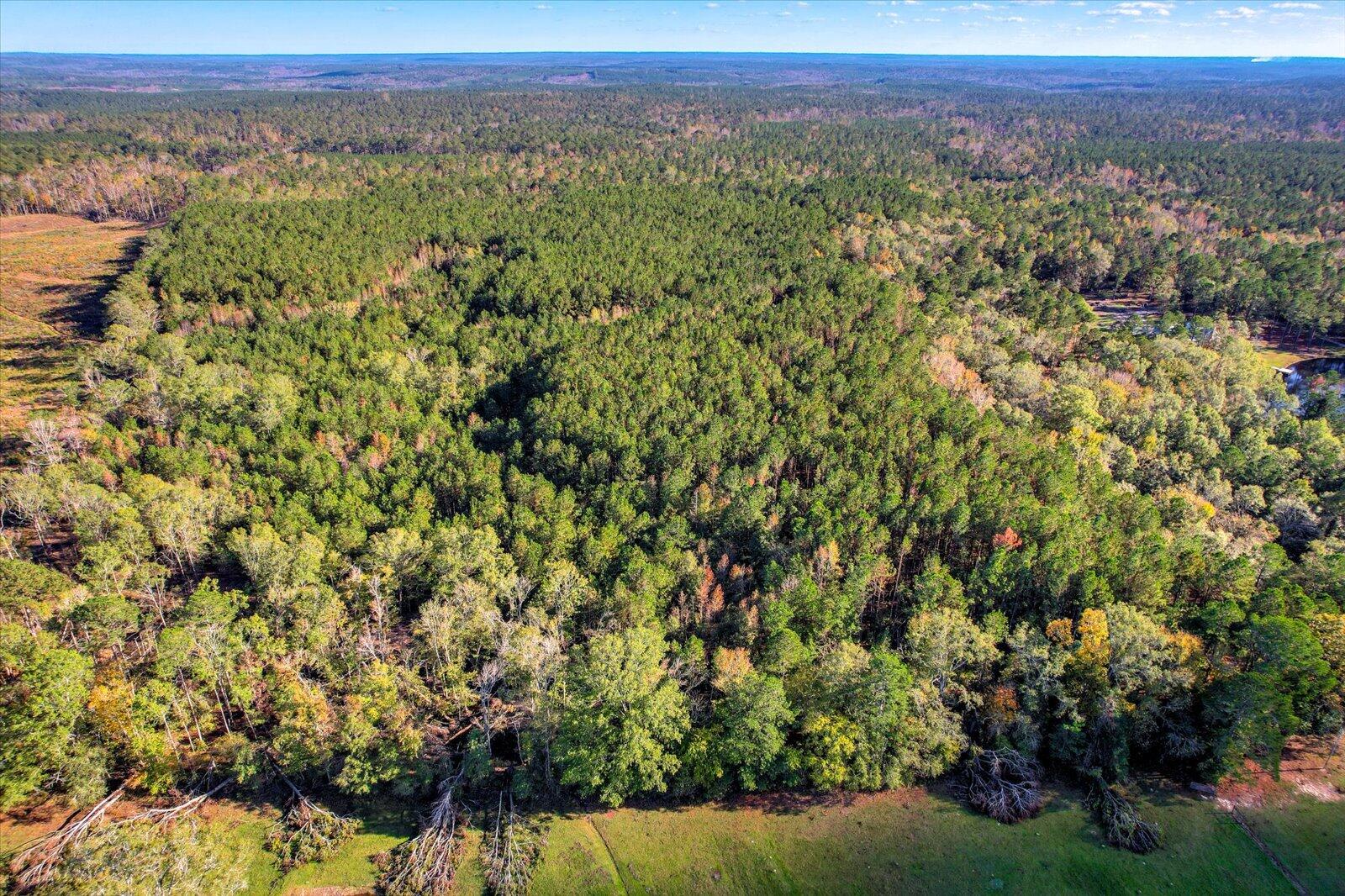 TBD2 SC-23, Edgefield, SC, 29824