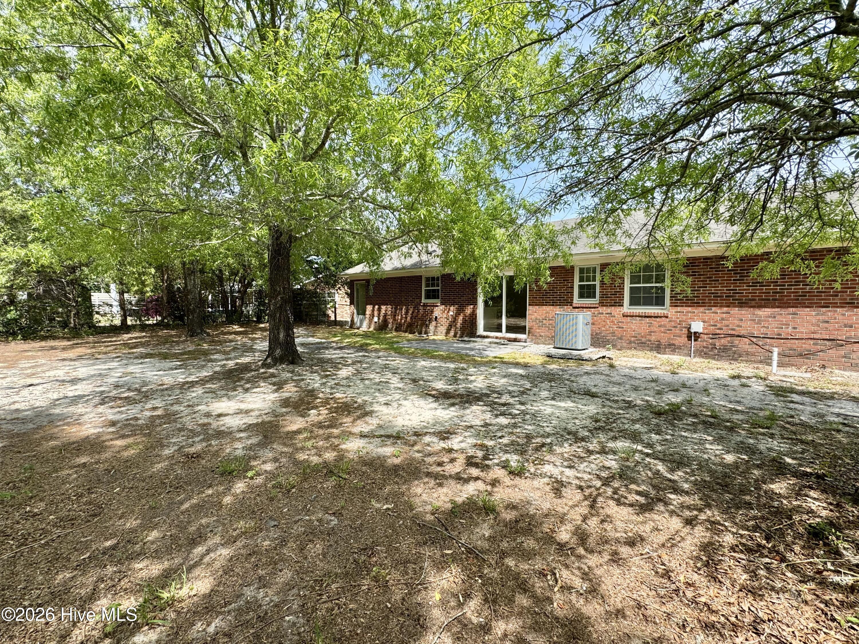 100567186 | Photo 14