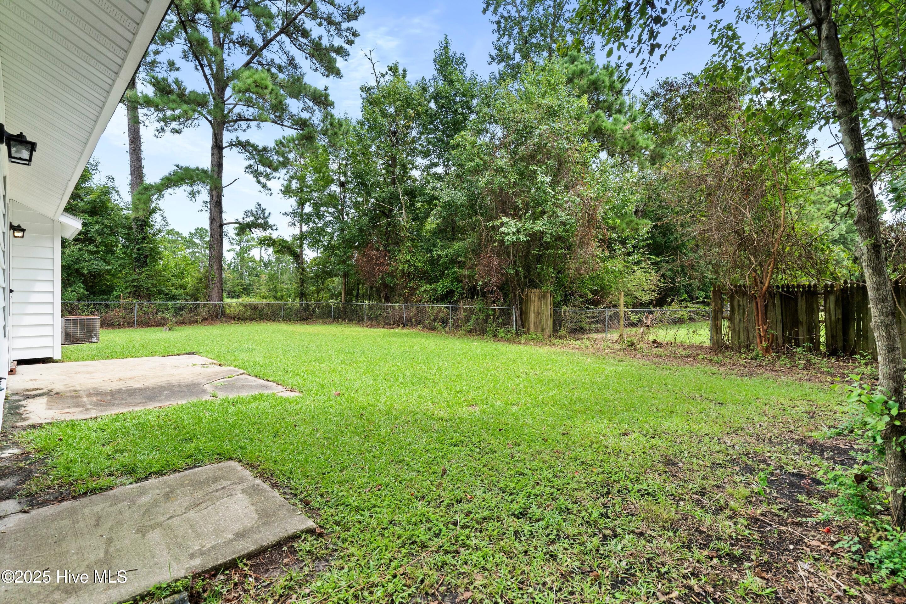 100523596 | Photo 47