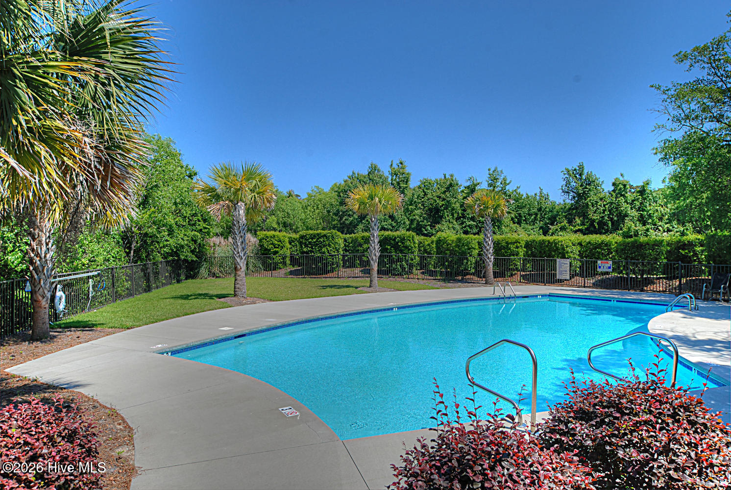 100562765 | Photo 12